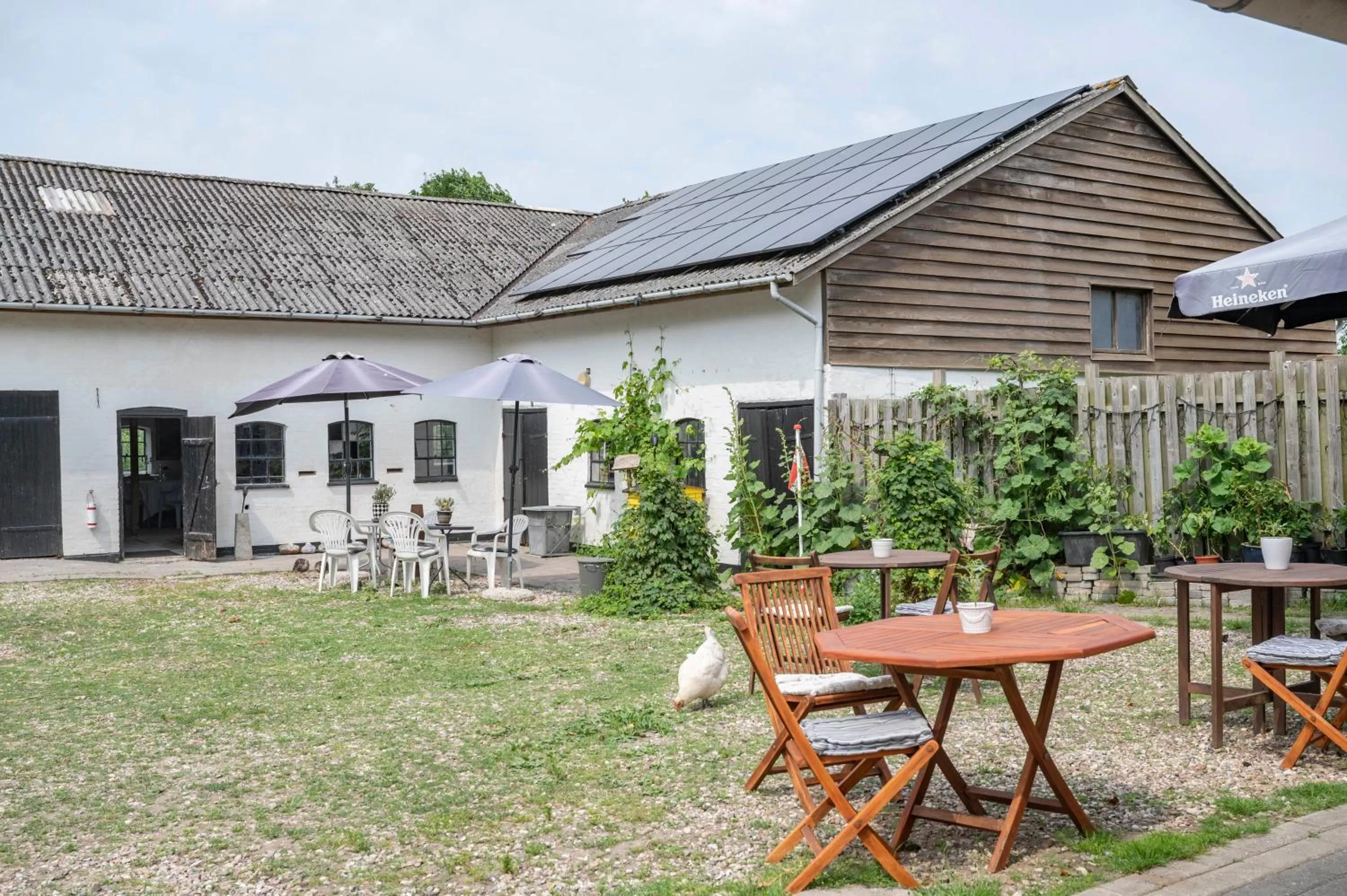 Garden in Skortskær Bondegårdsferie