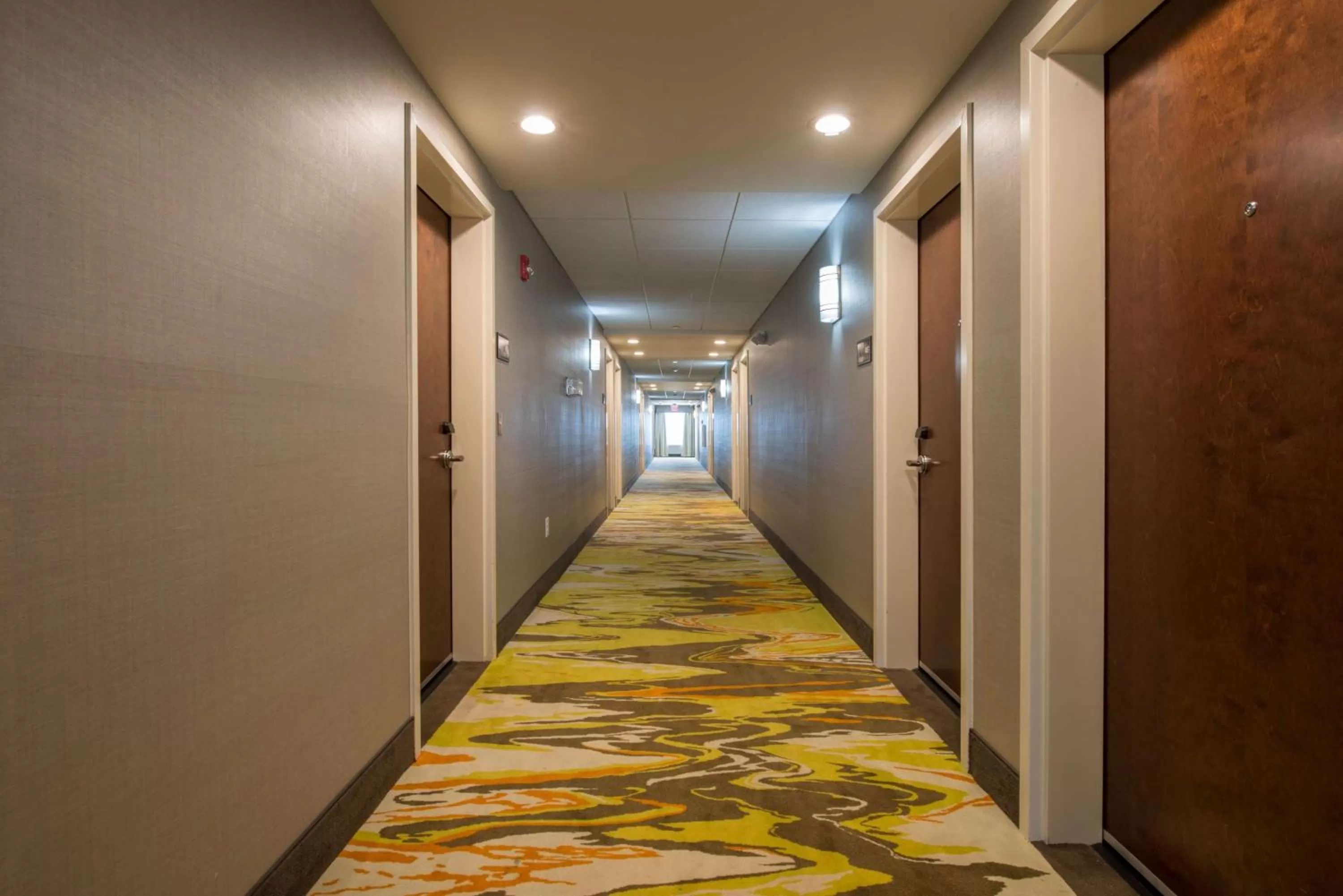 View (from property/room) in Hampton Inn Waynesboro