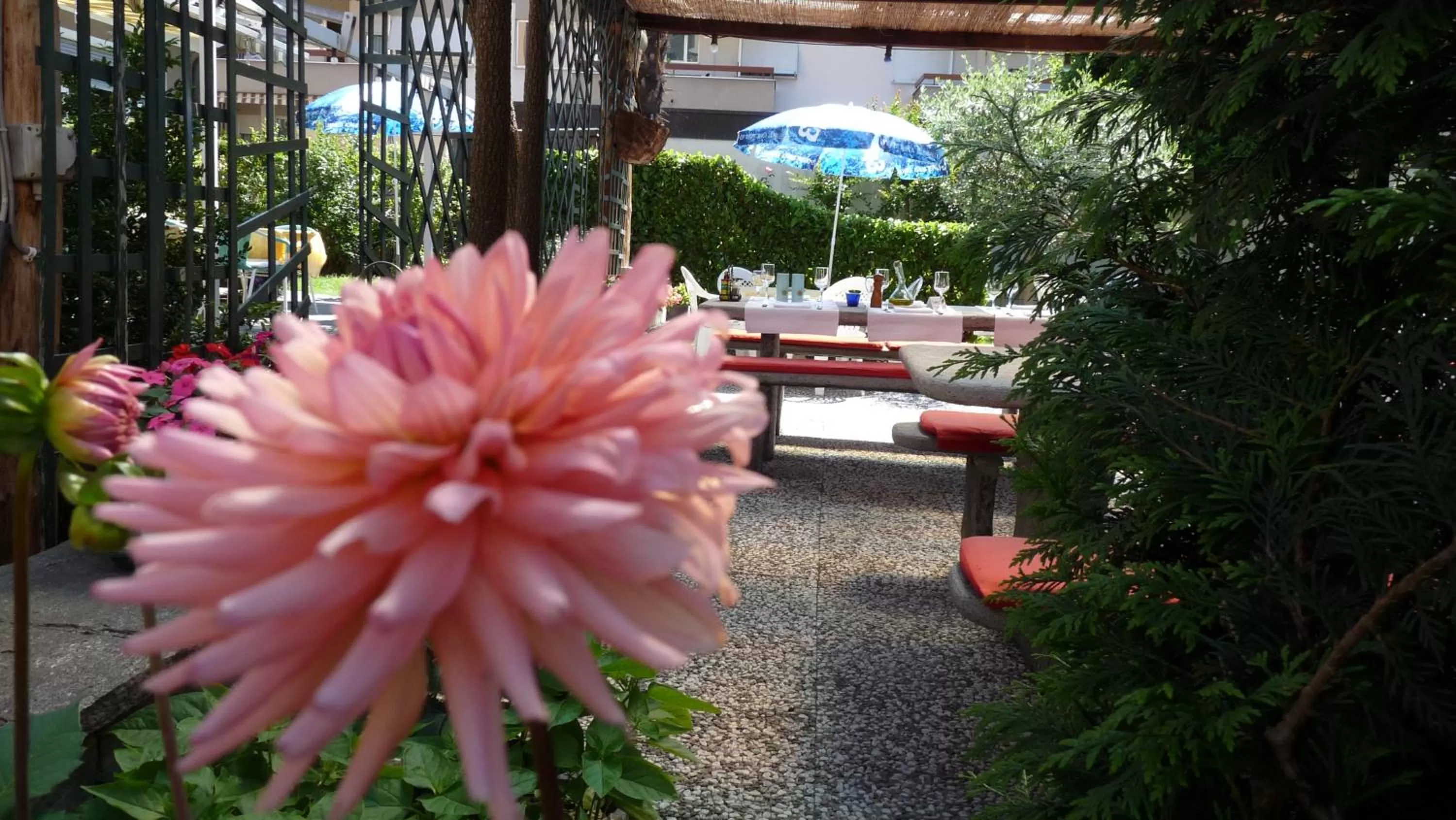 Garden in Osteria Ticino by Ketty & Tommy