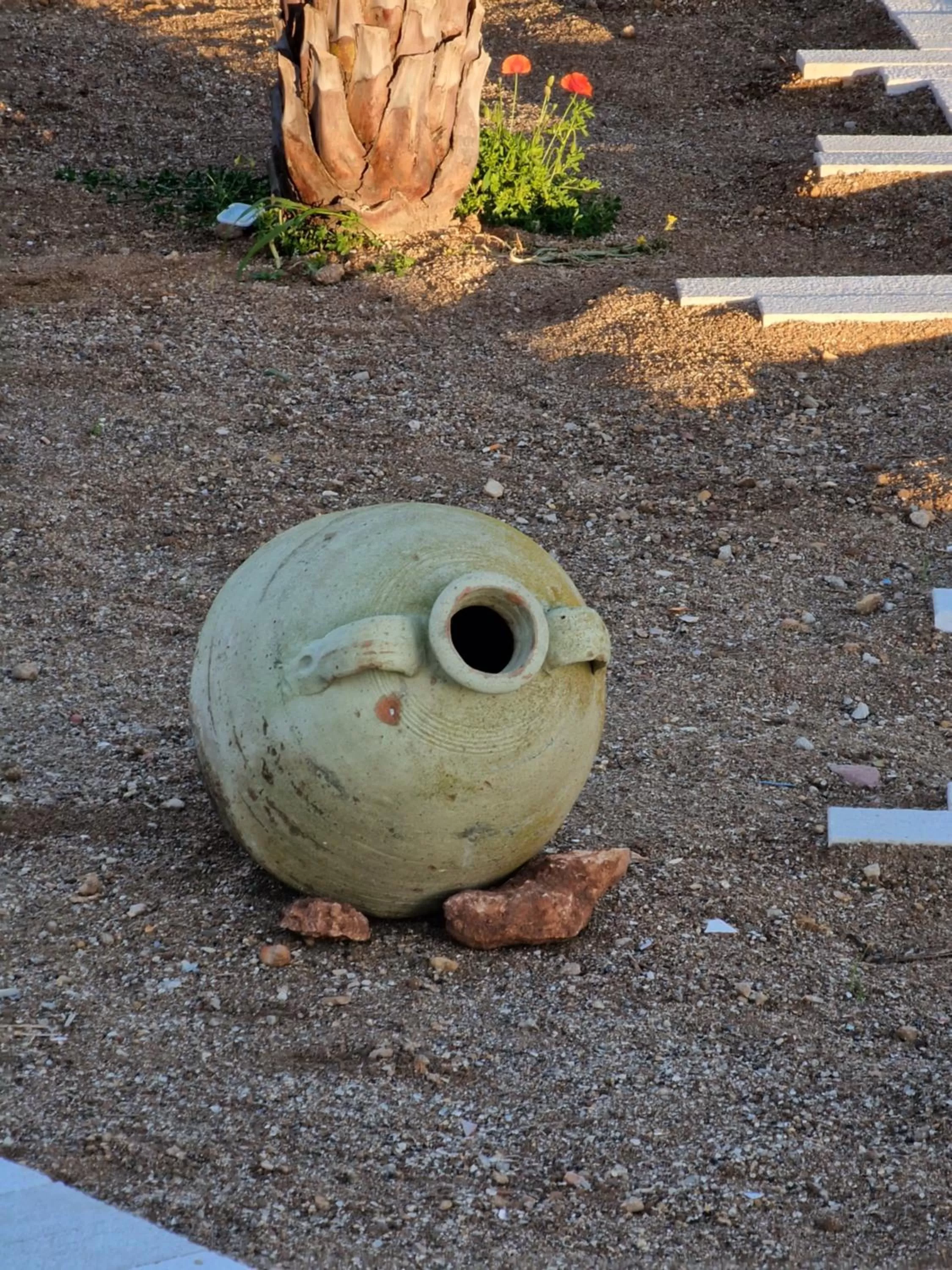 Other Animals in Villa Eden, Bed and Breakfast