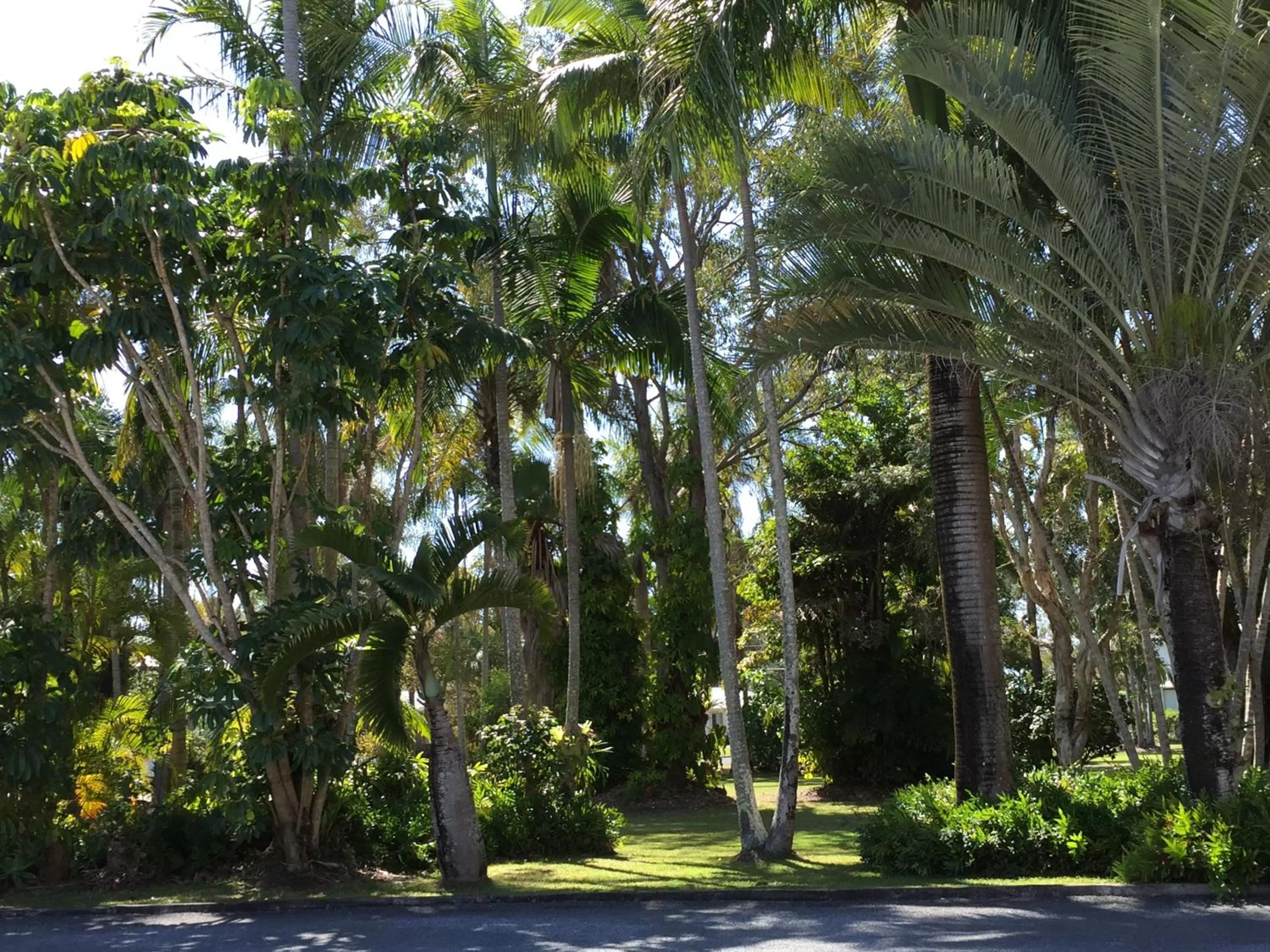 Garden in Tin Can Bay Motel