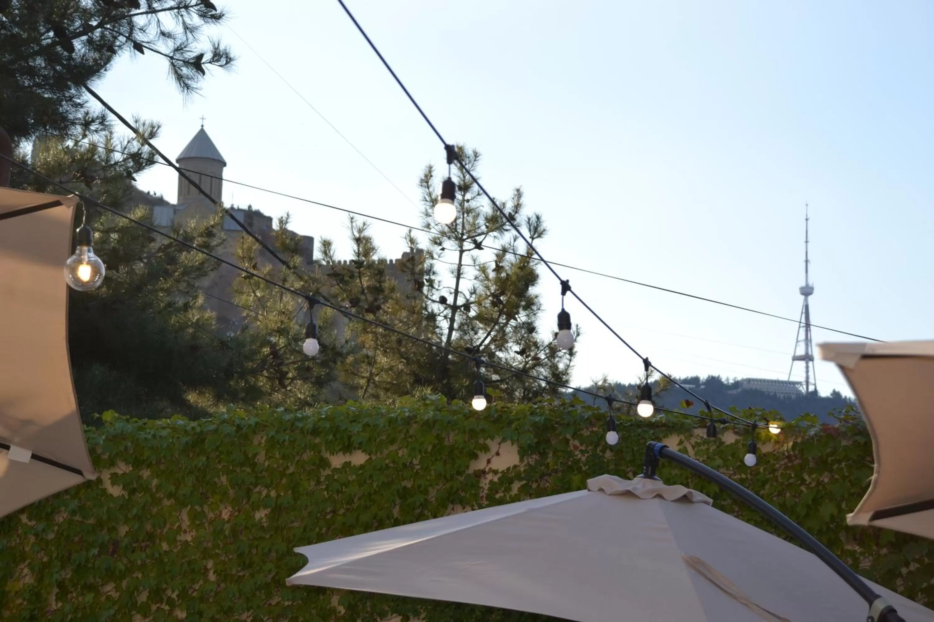 Garden in Gvino Minda