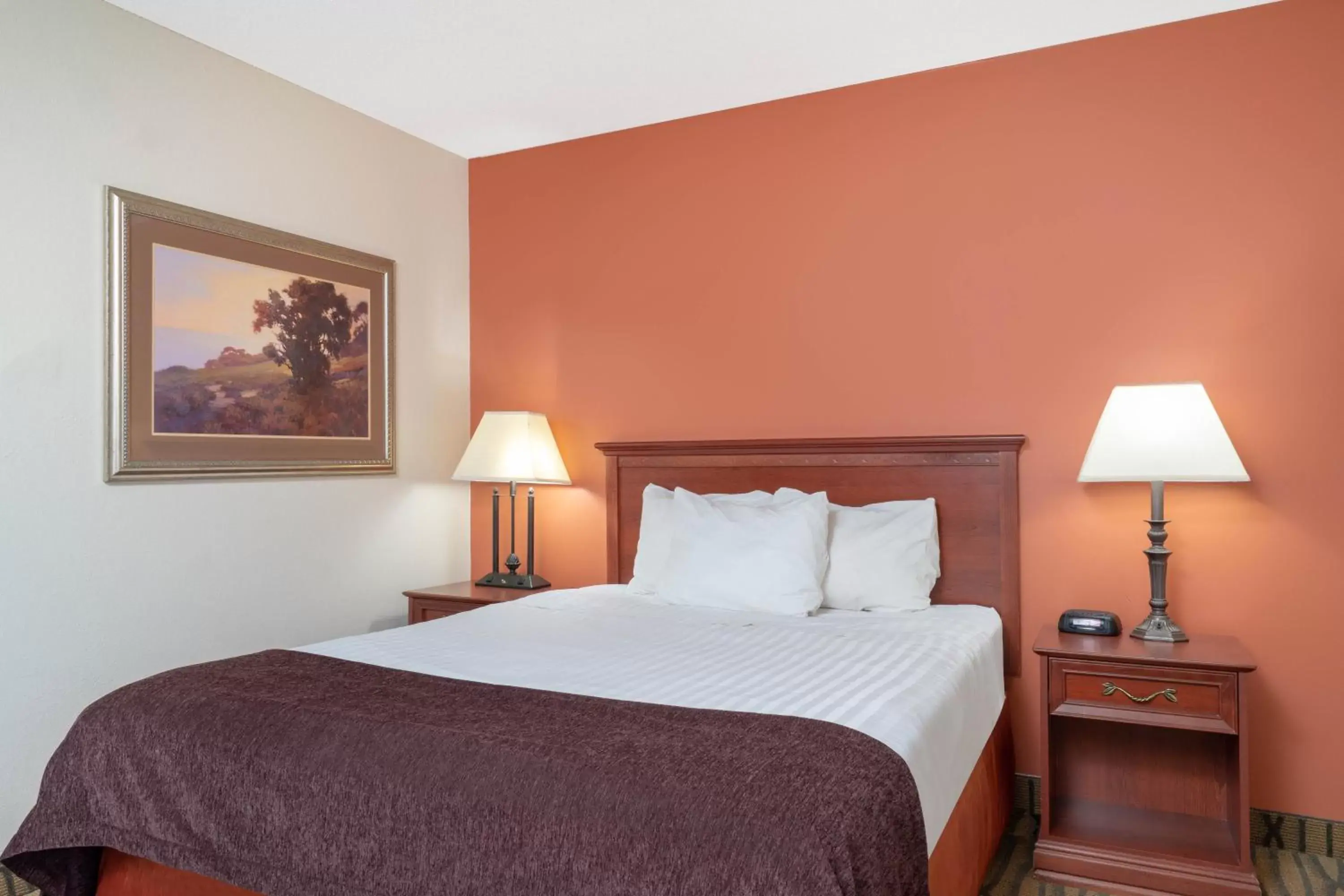 Bed in AmericInn by Wyndham Rogers Bed in AmericInn by Wyndham Rogers