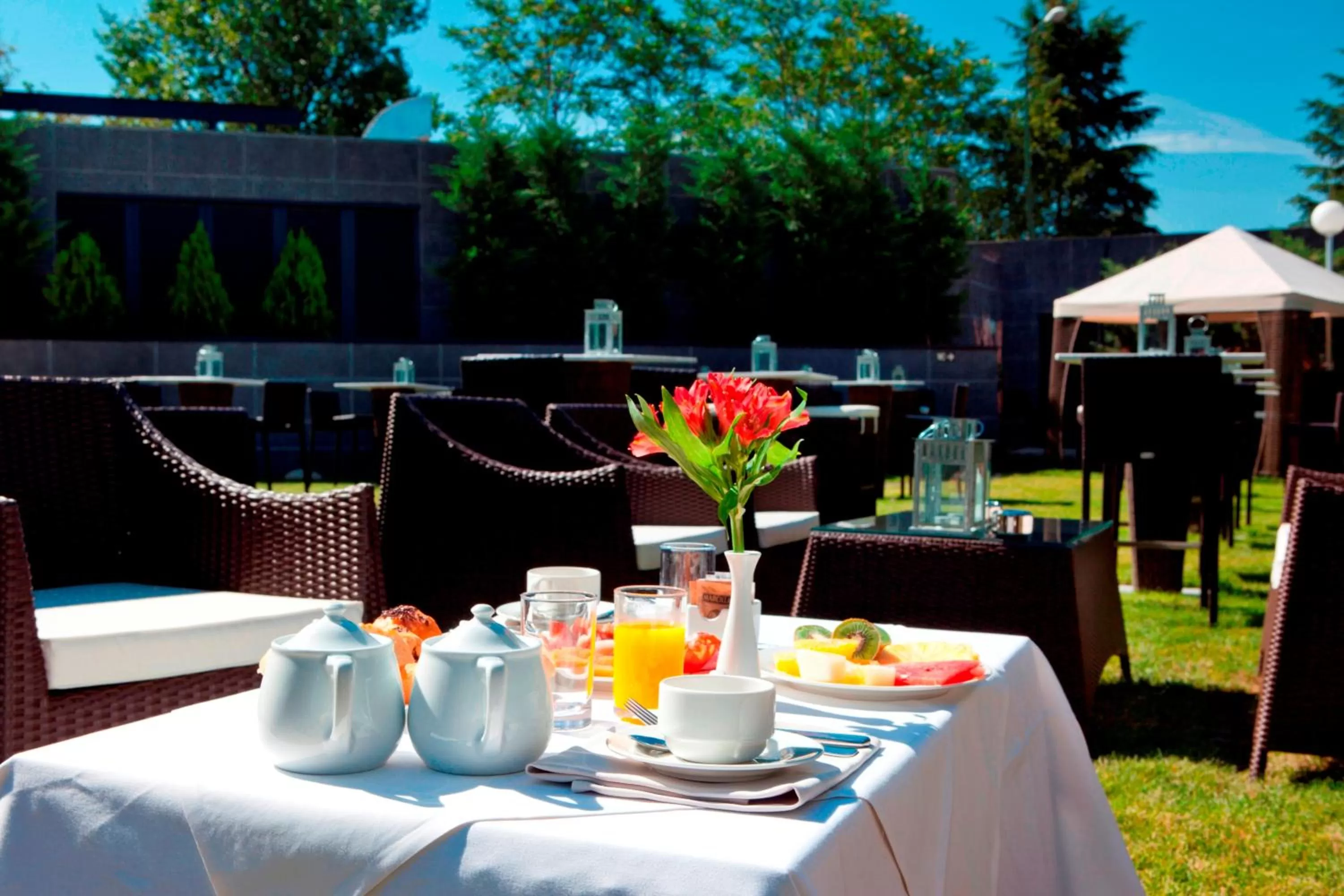 Garden in Hotel Nuevo Boston