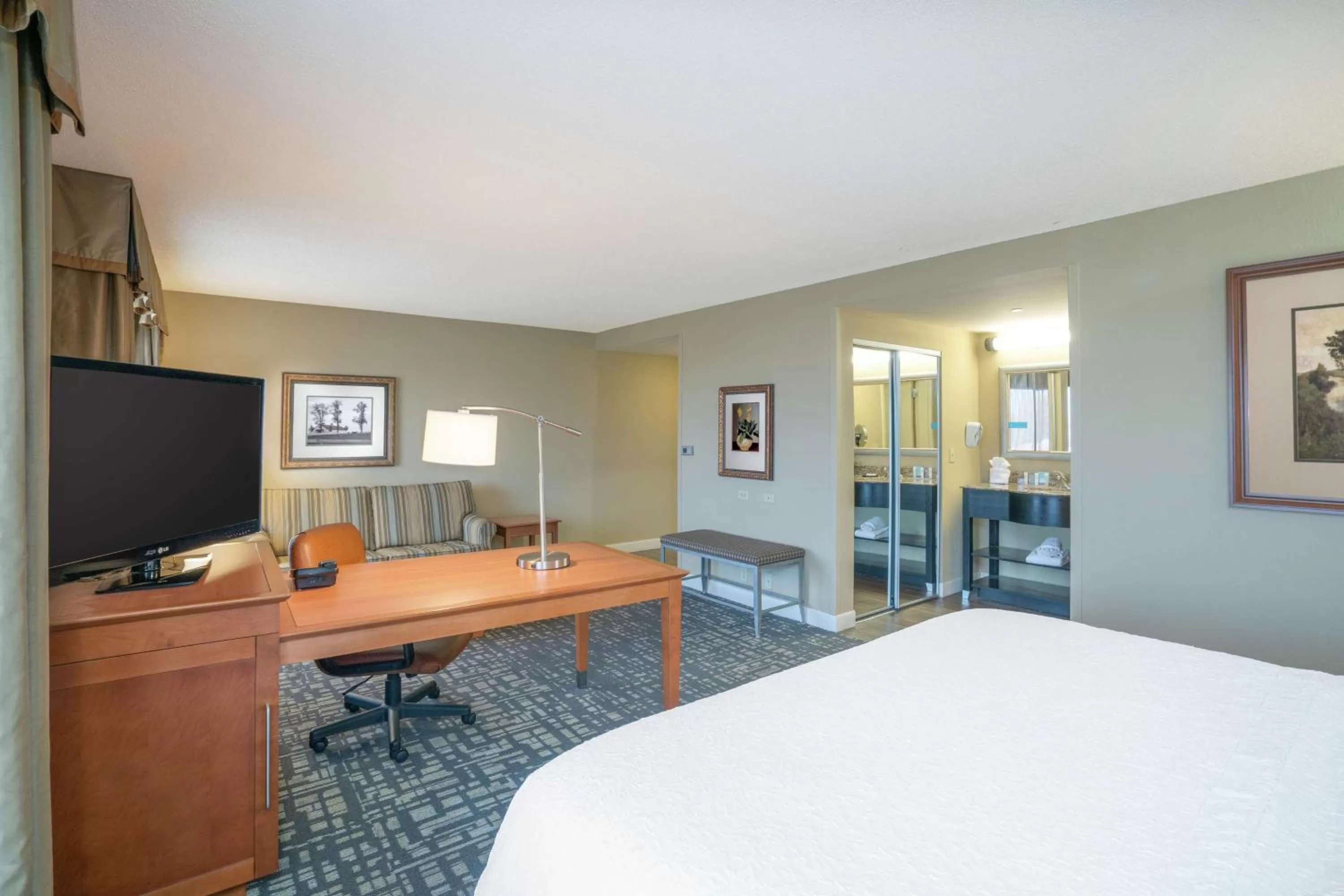 King Suite with Sofa Bed - Non-Smoking in Hampton Inn & Suites Murfreesboro