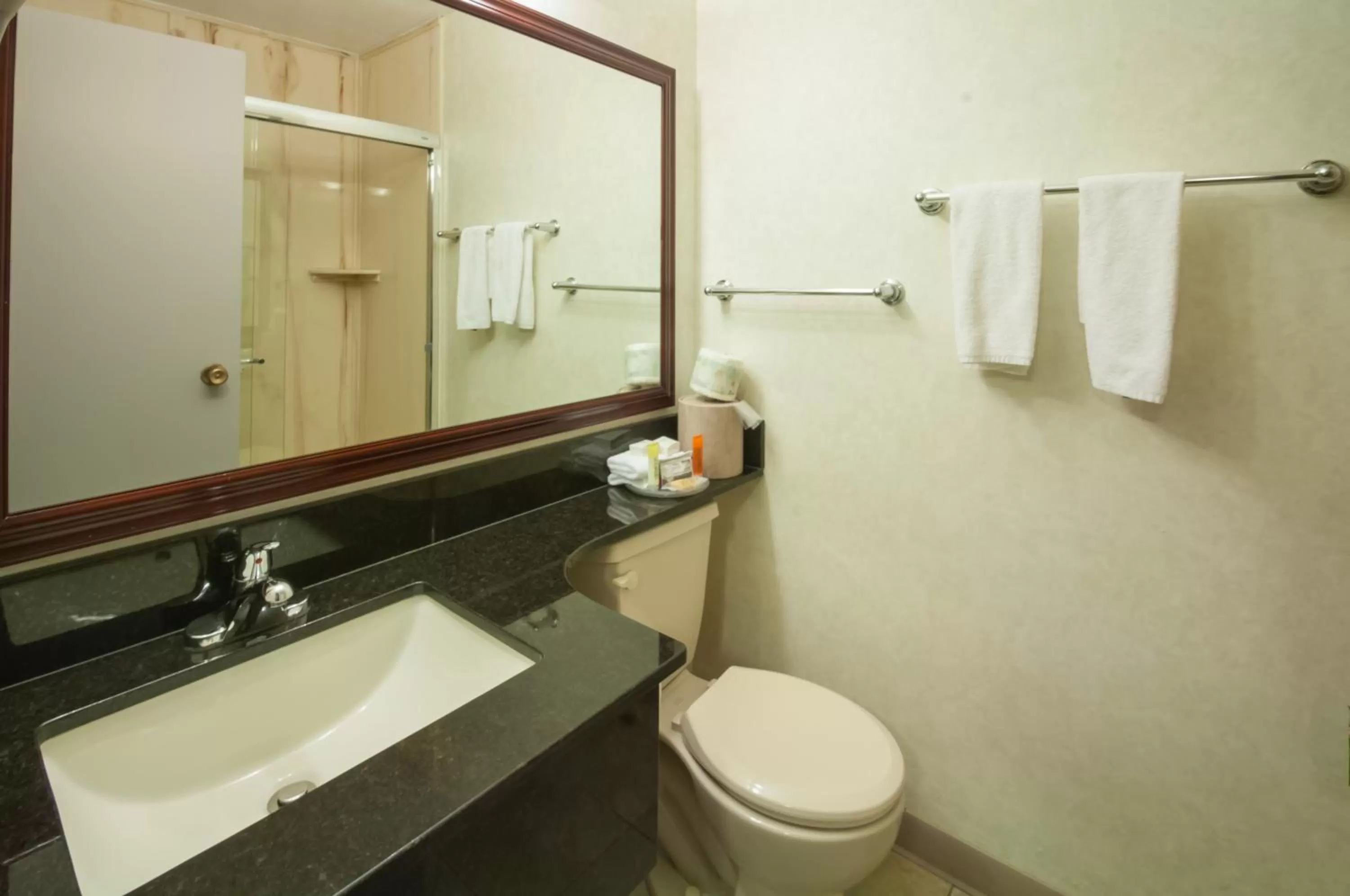 Bathroom in Best Western Airport Inn