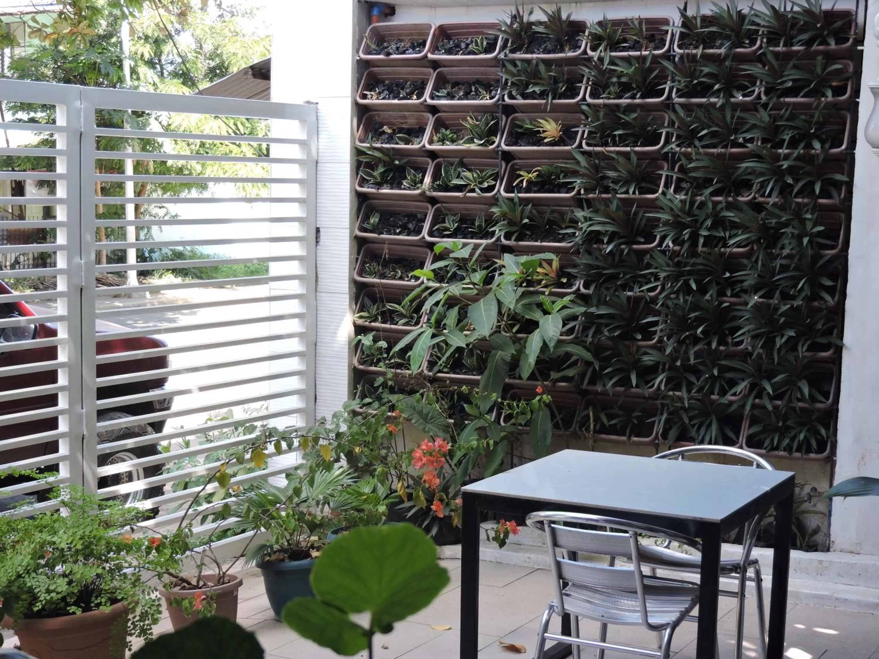 Patio in Orange Mangrove Pension House by SMS Hospitality