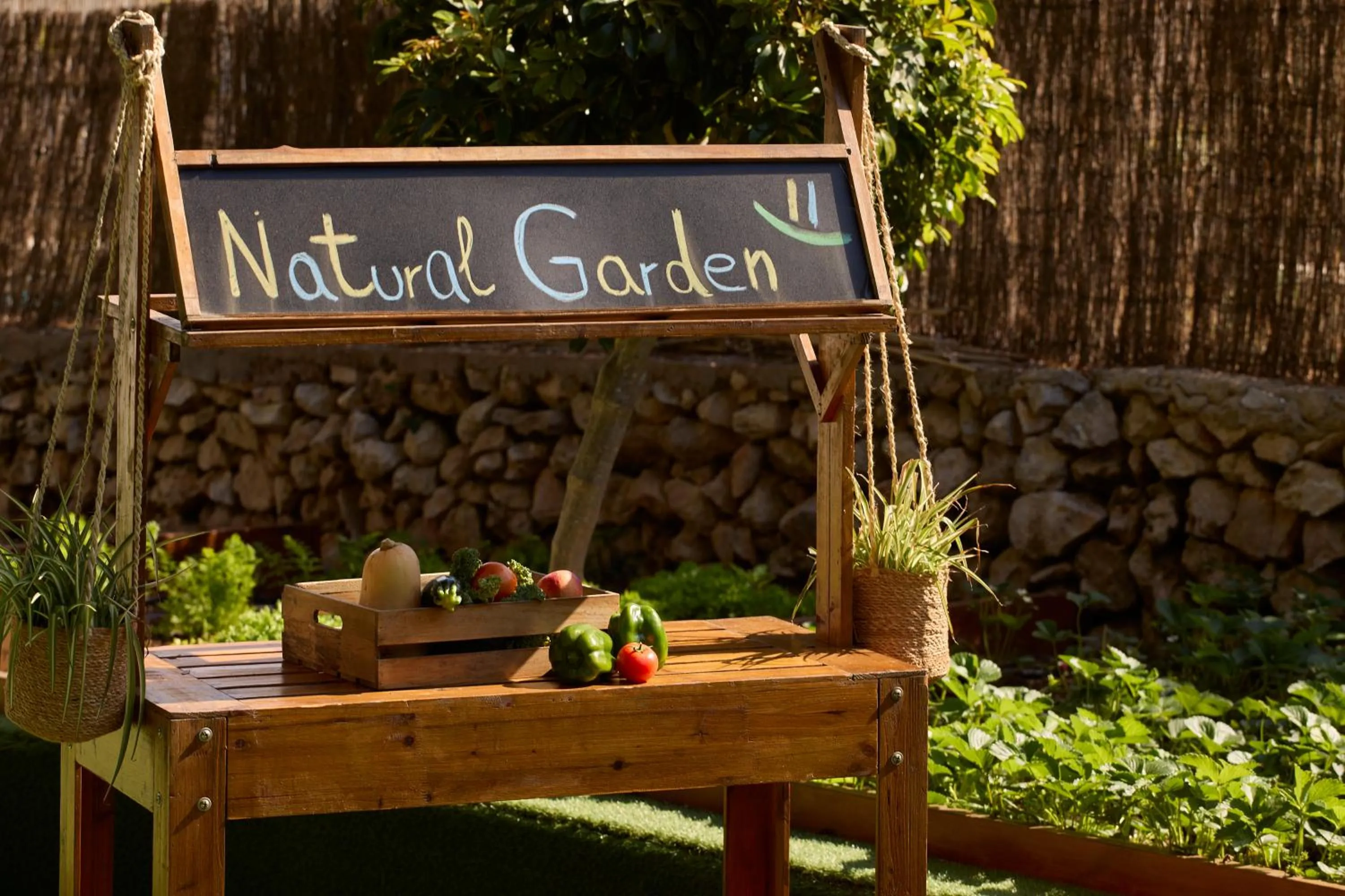 Garden in Meliá Cala Galdana