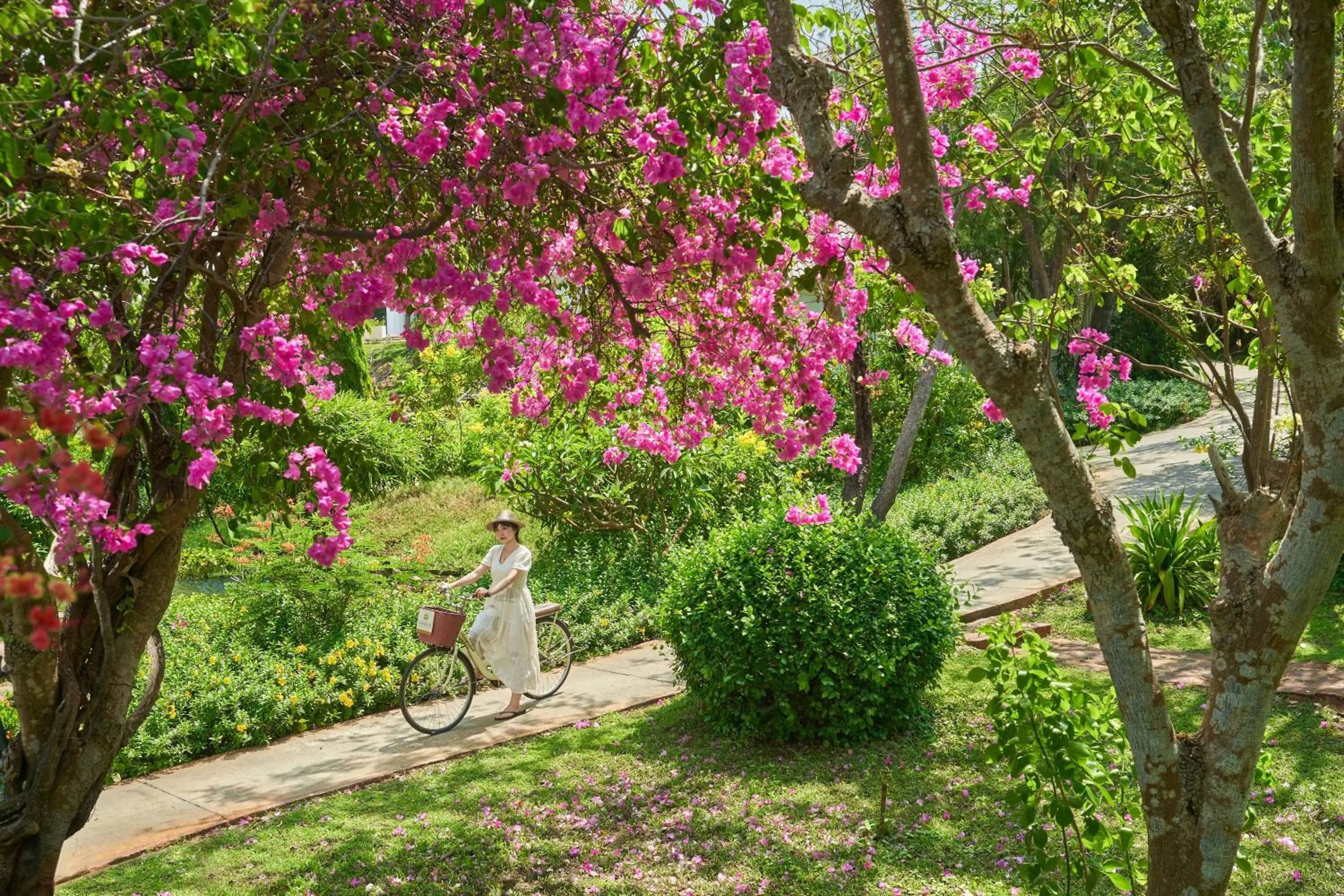 Natural landscape in Fleur de Lys Resort & Spa Long Hai