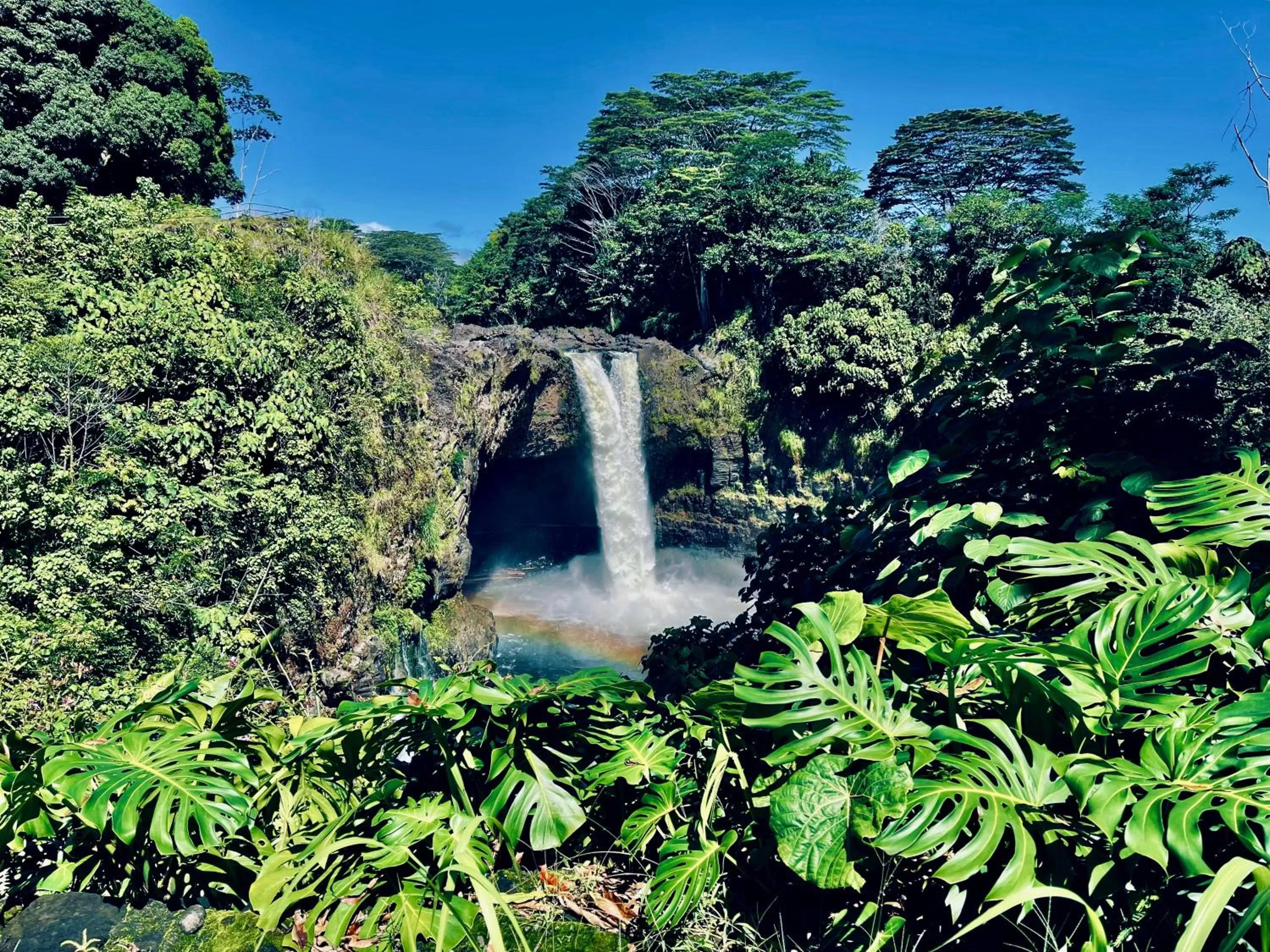Natural landscape in Ala Kai Bed and Breakfast