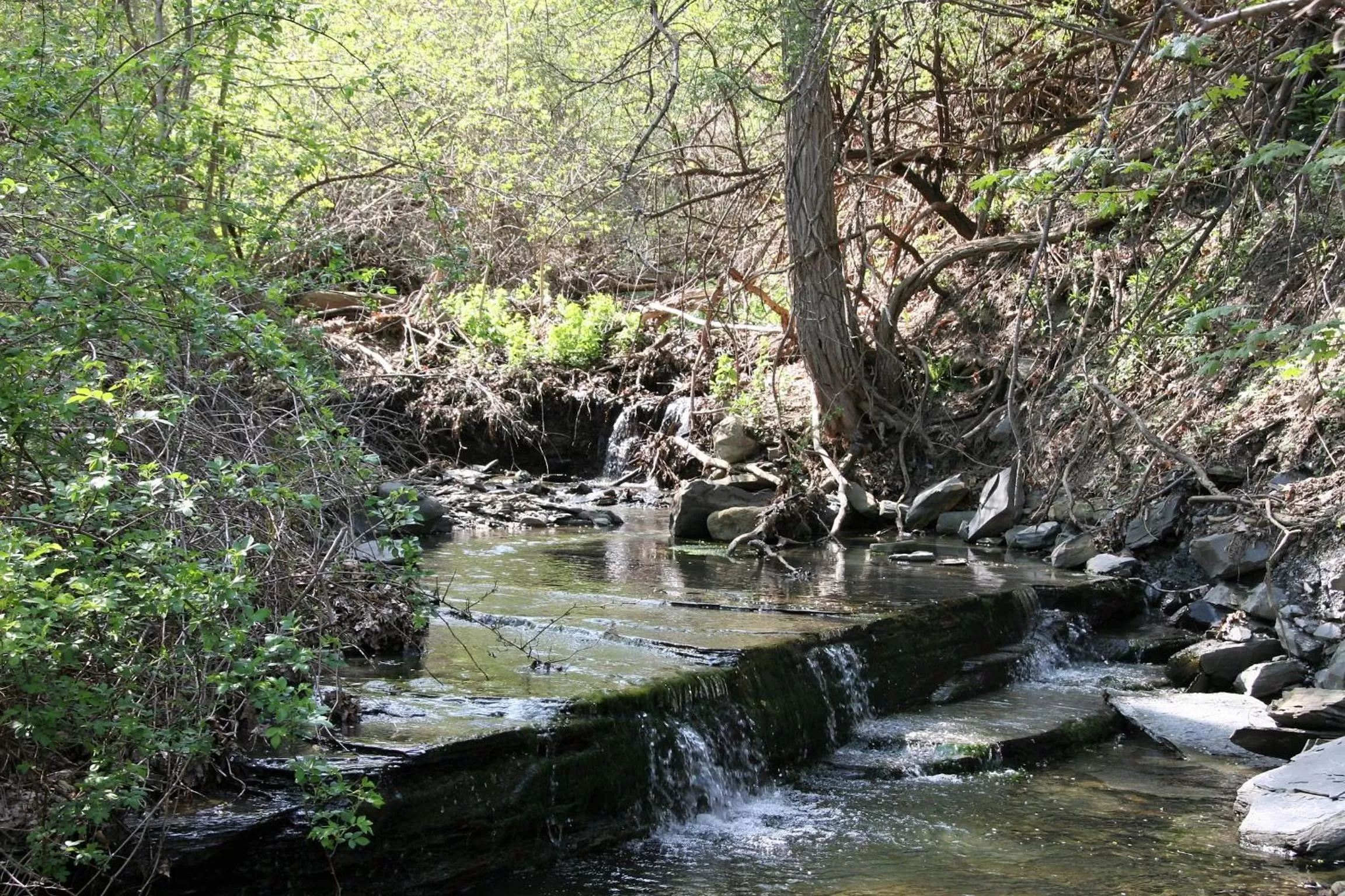 Area and facilities in Lakeside Resort