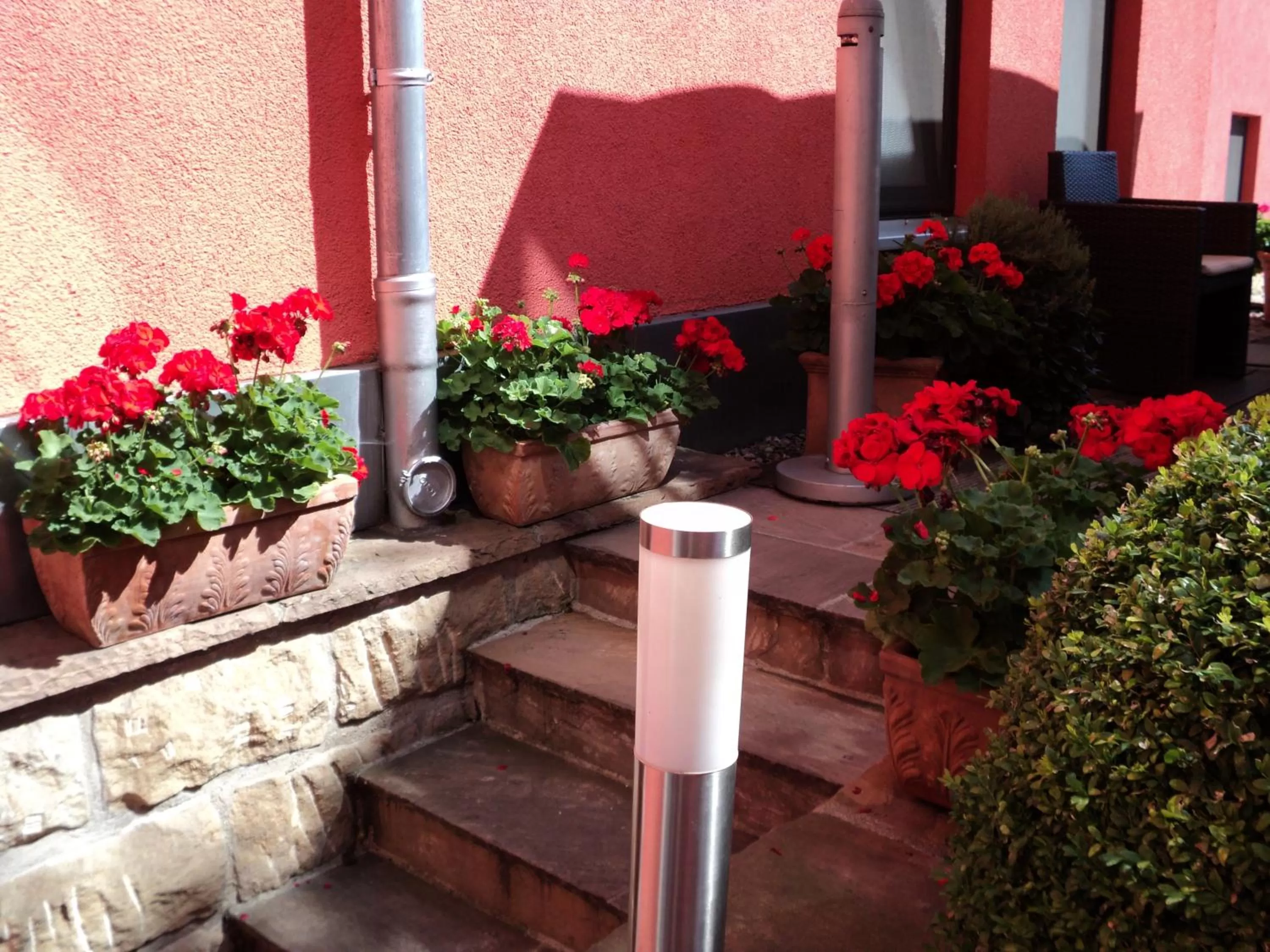 Day in Hotel Amadeus