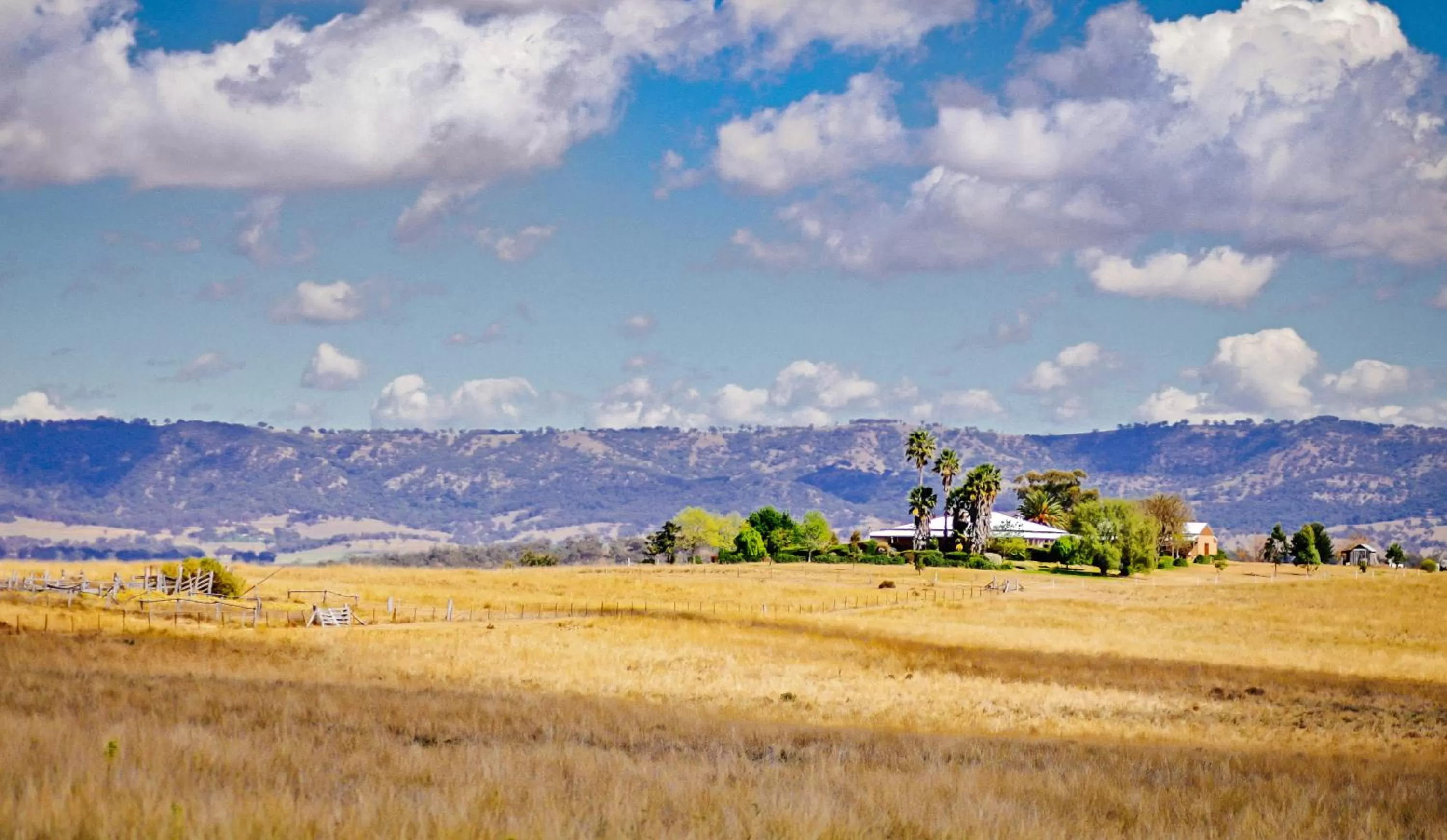 Bird's eye view in Strathearn Park Lodge