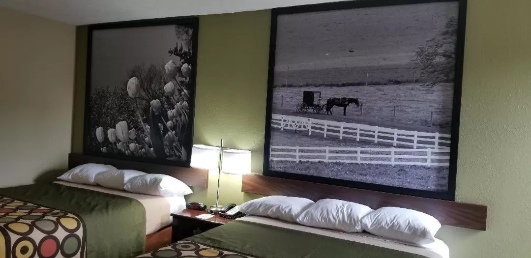 Bed in Super 8 by Wyndham Bellefontaine