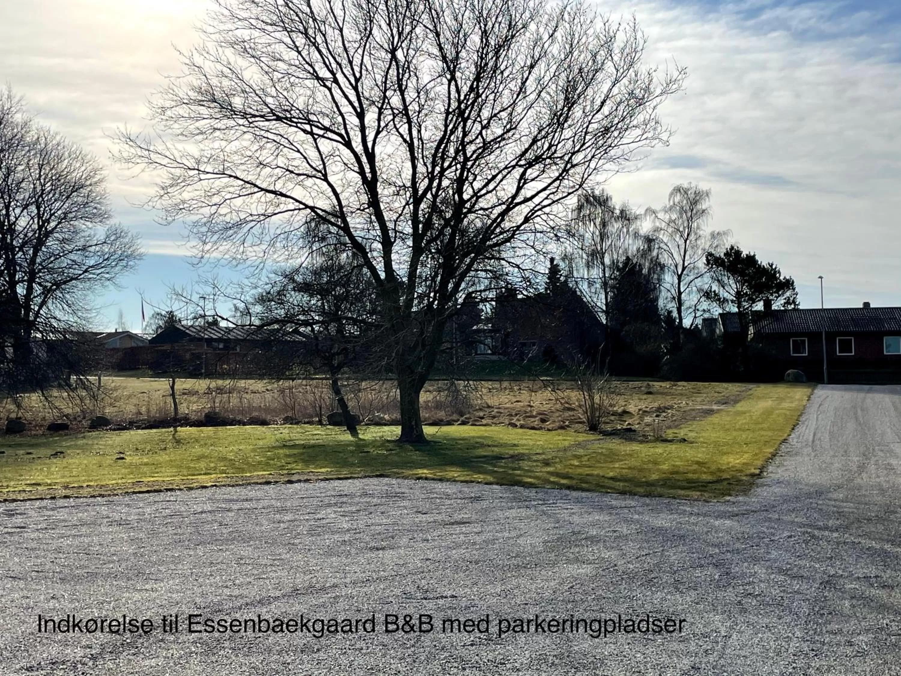 Natural landscape in Essenbaekgaard B&B