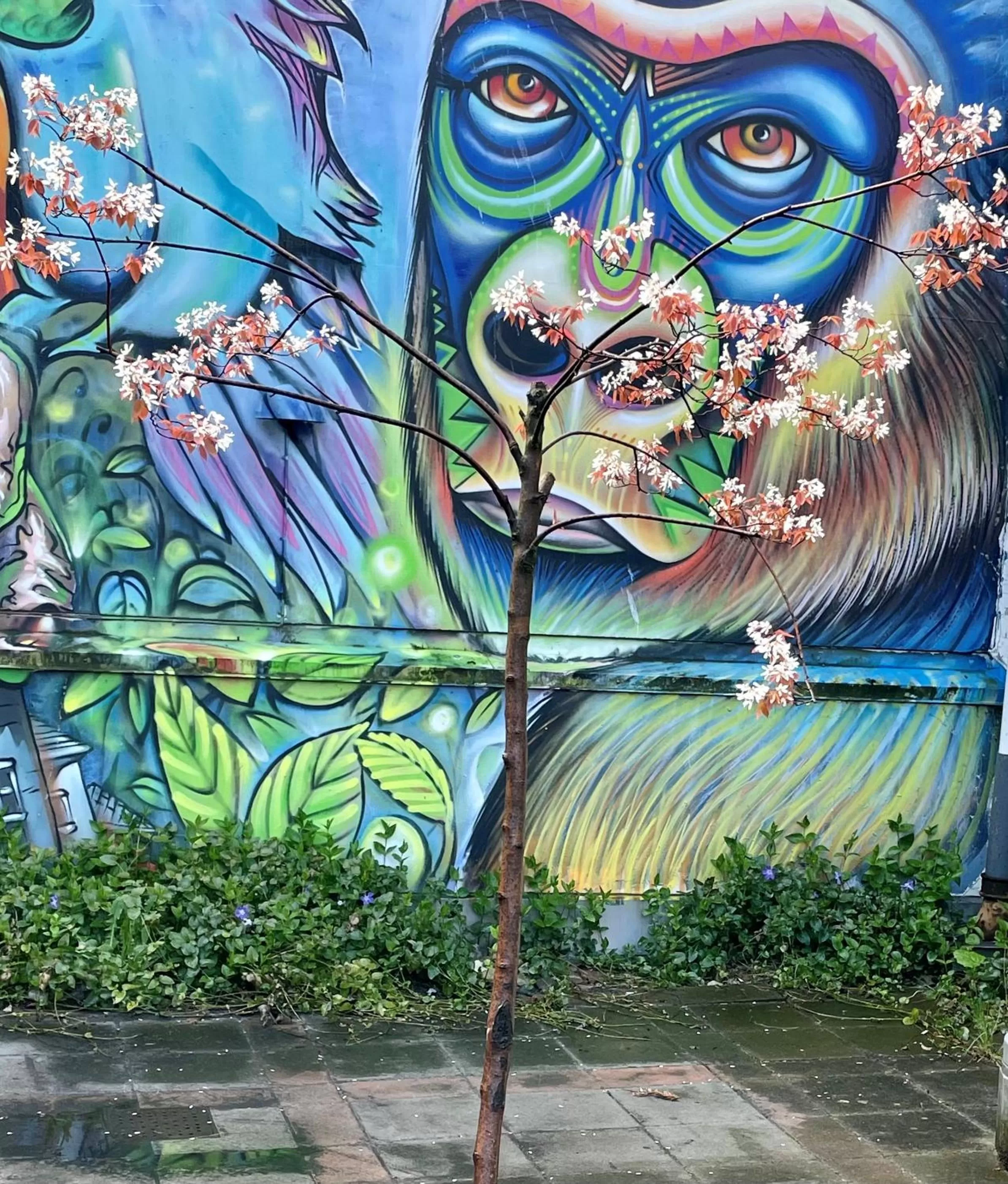 Patio in HOTEL N Hostel Malmö City