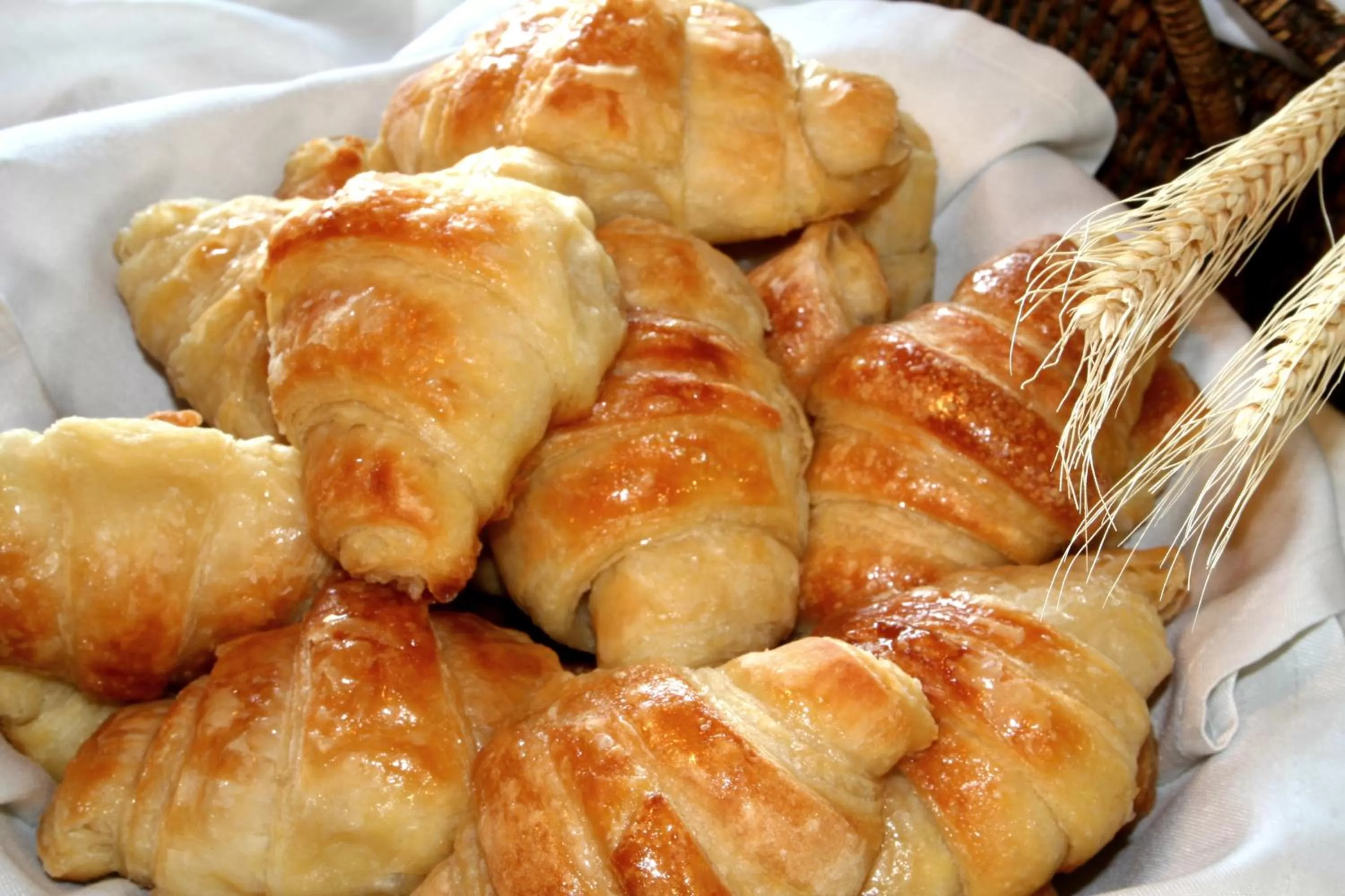 Restaurant/places to eat in Colonna Park Hotel