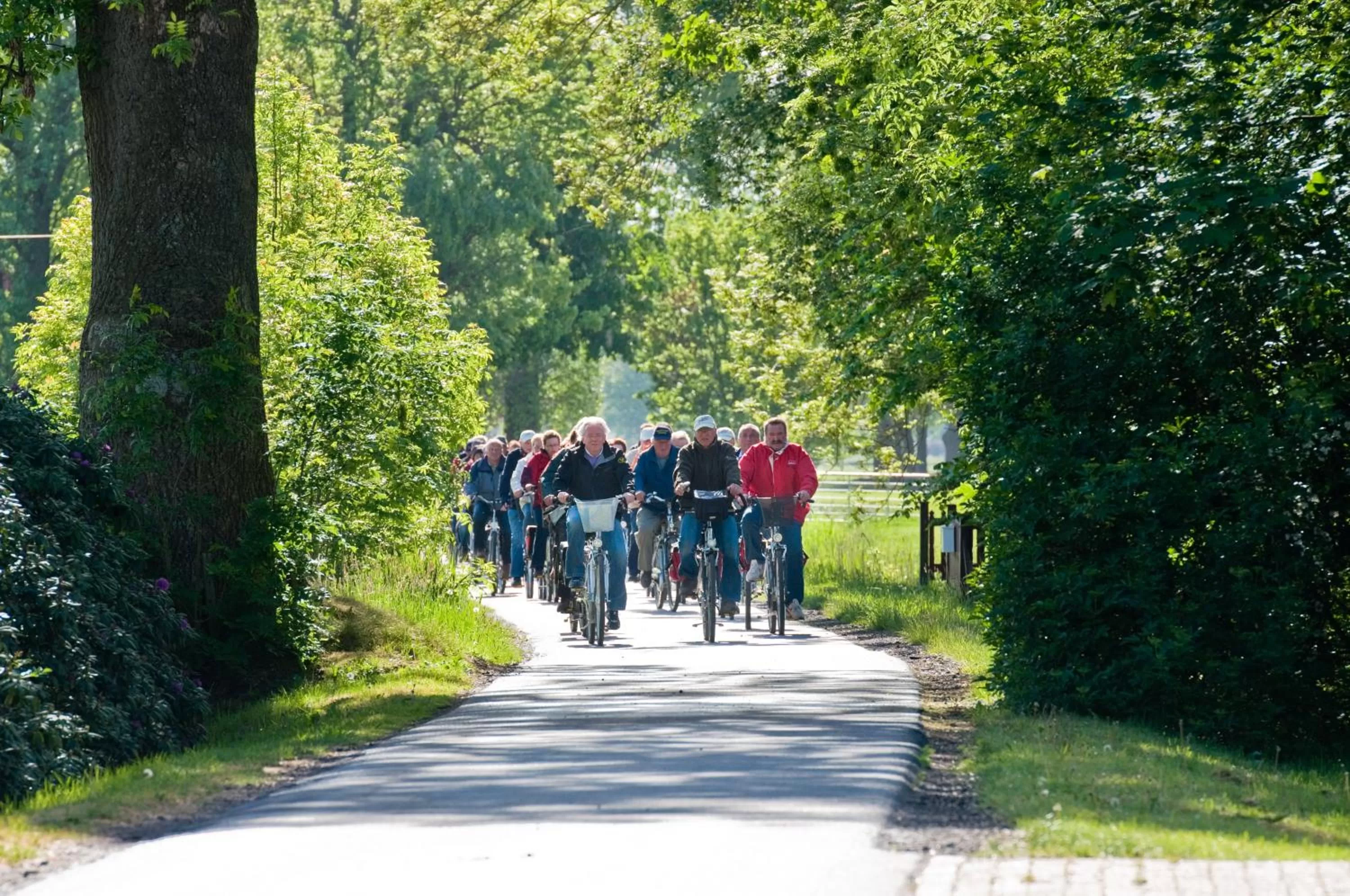 Cycling in Landhotel Butjadinger Tor