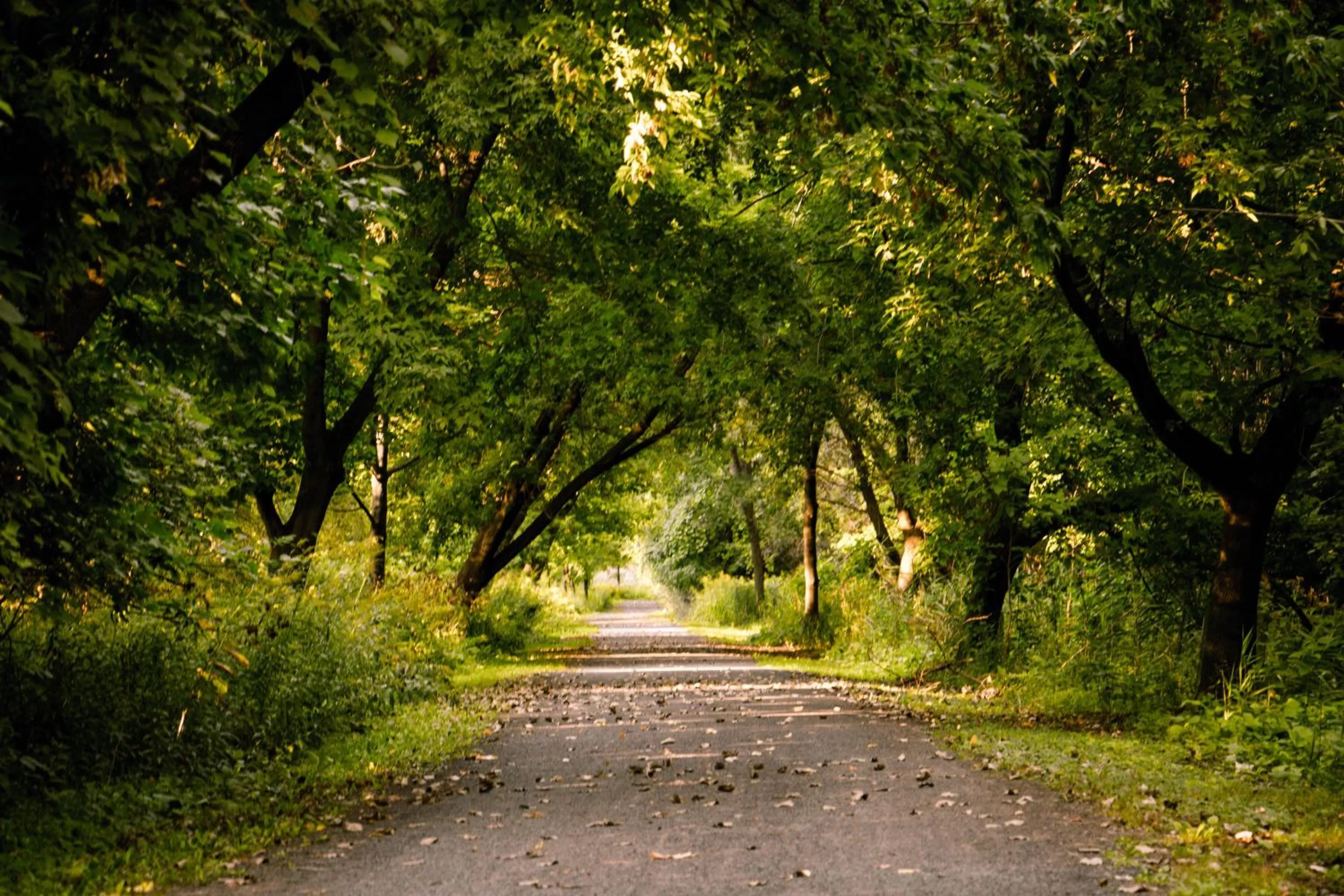 Nearby landmark in Hôtels Gouverneur Montréal - Île Charron