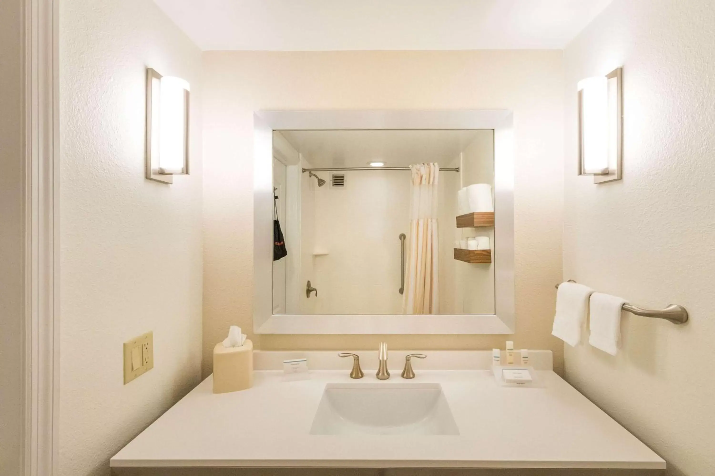 One-Bedroom King Suite with Sofa Bed in Hilton Garden Inn Jacksonville Airport One-Bedroom King Suite with Sofa Bed in Hilton Garden Inn Jacksonville Airport