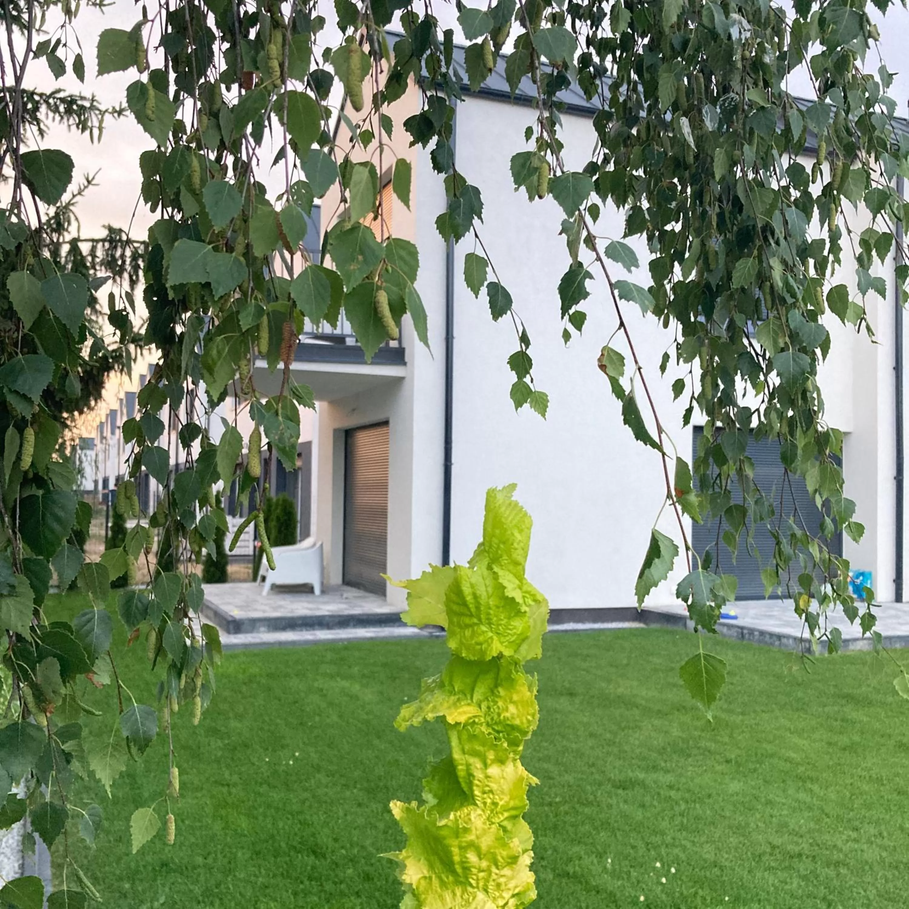 View (from property/room) in Stylowe Apartamenty Plewiska