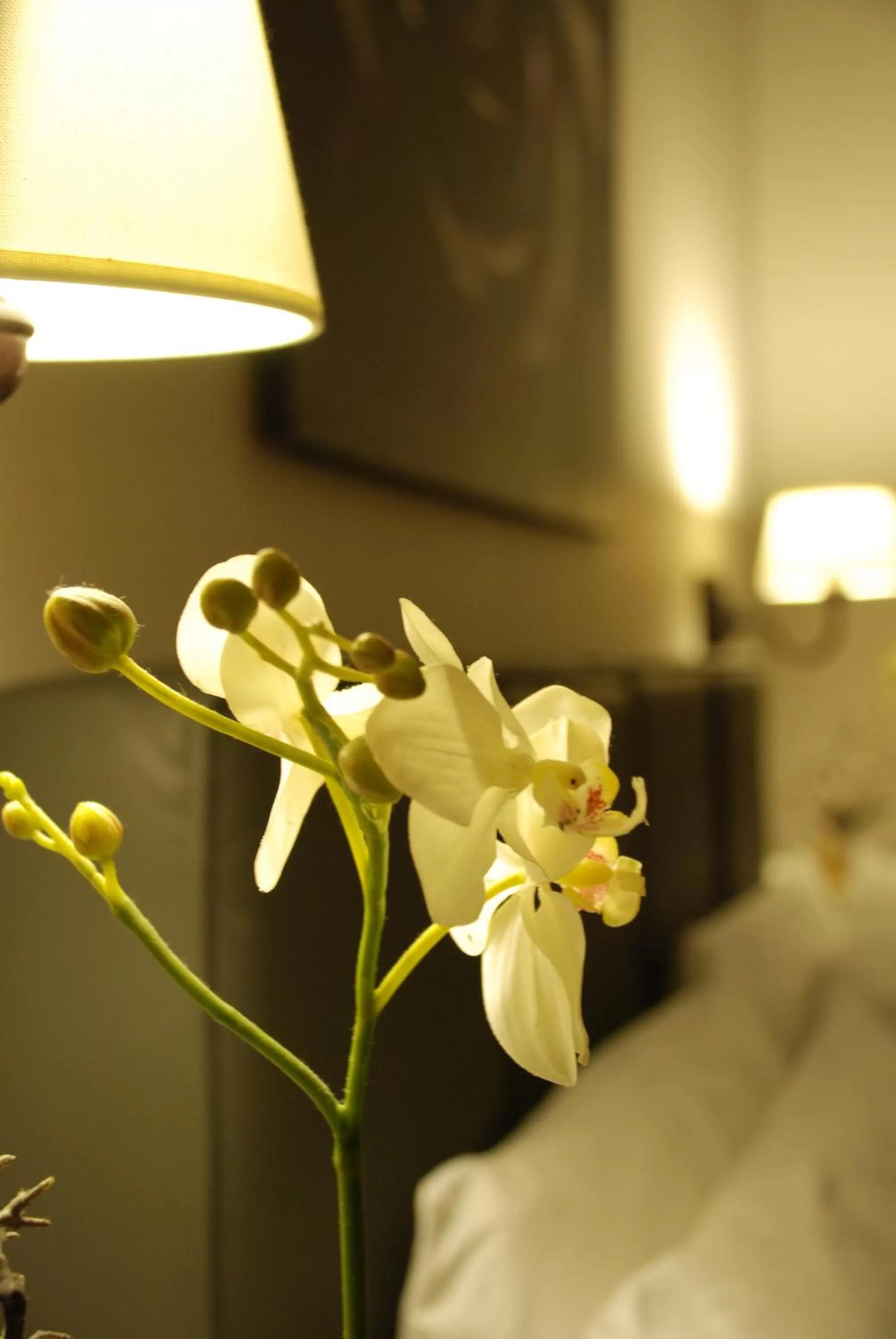 Decorative detail, Bed in Maxim