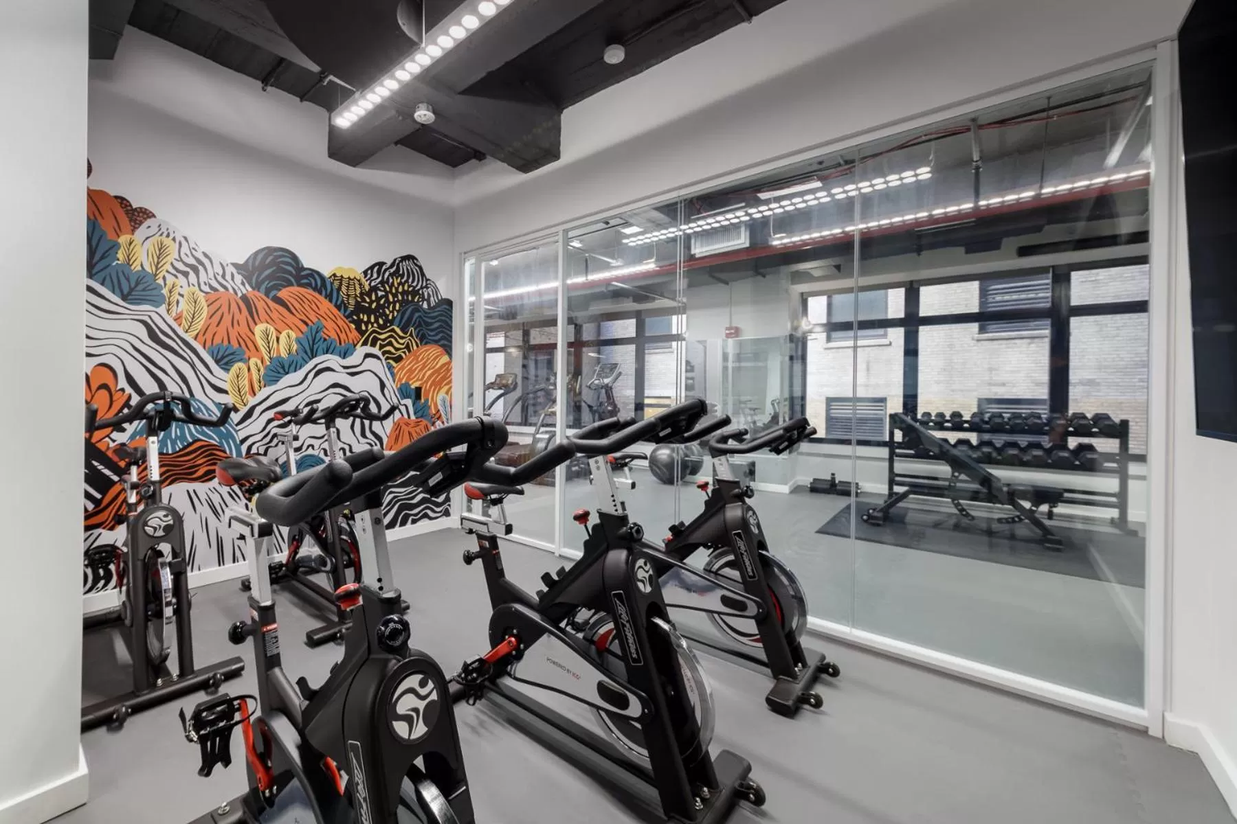 Fitness centre/facilities in Placemakr Wall Street