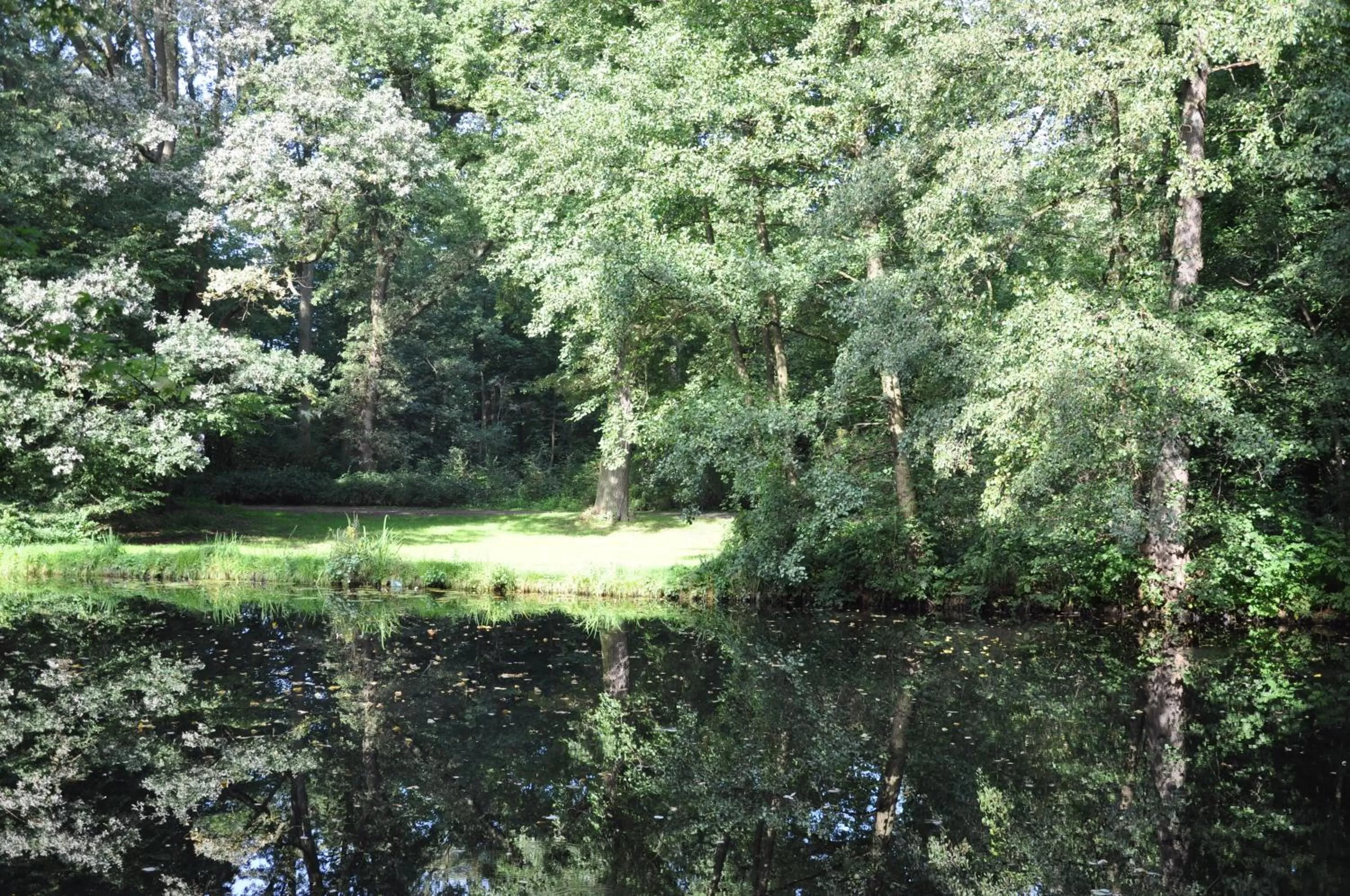 Area and facilities in MUNTE - Wellnesshotel am Stadtwald