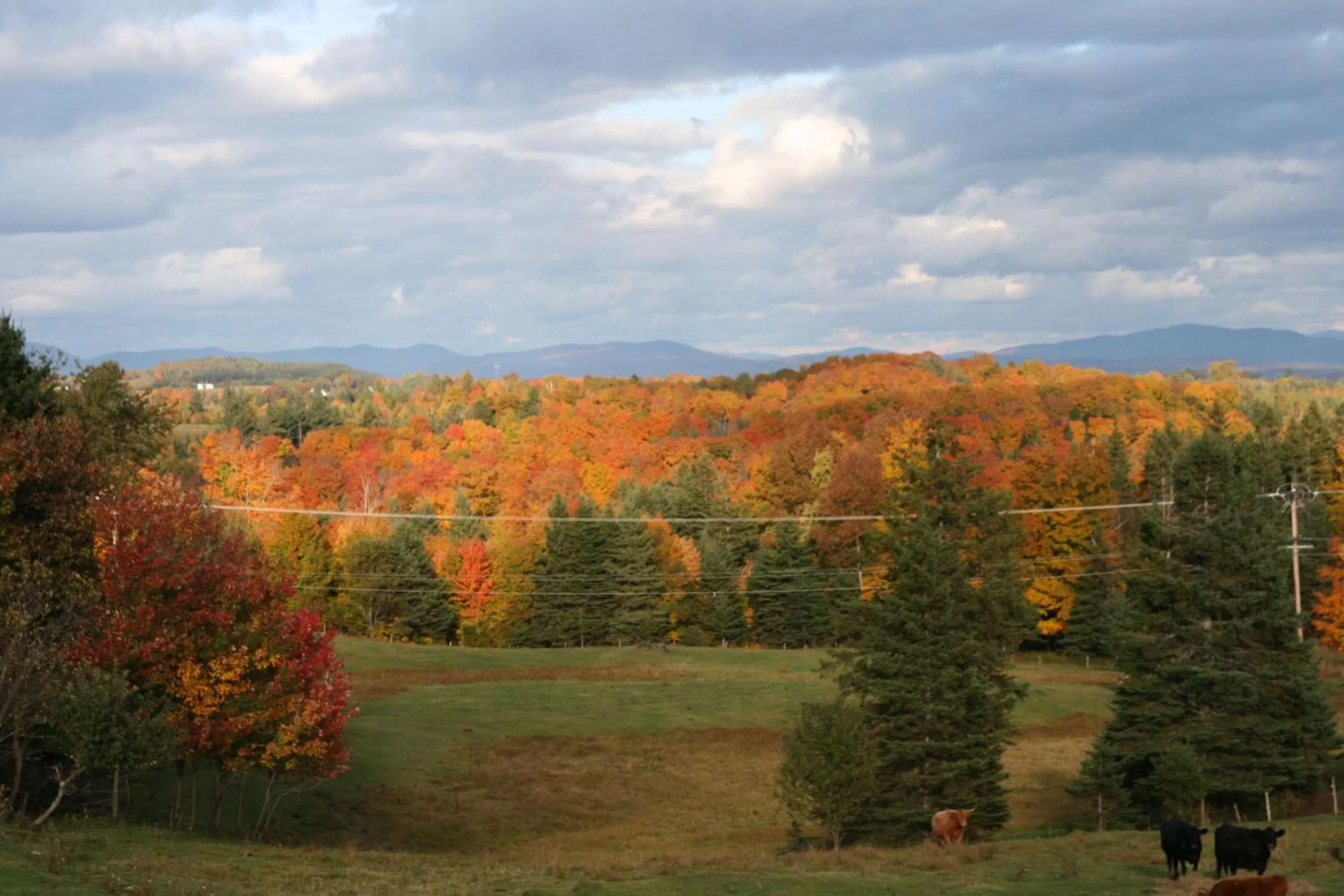 Property building in Hampton Inn White River Junction
