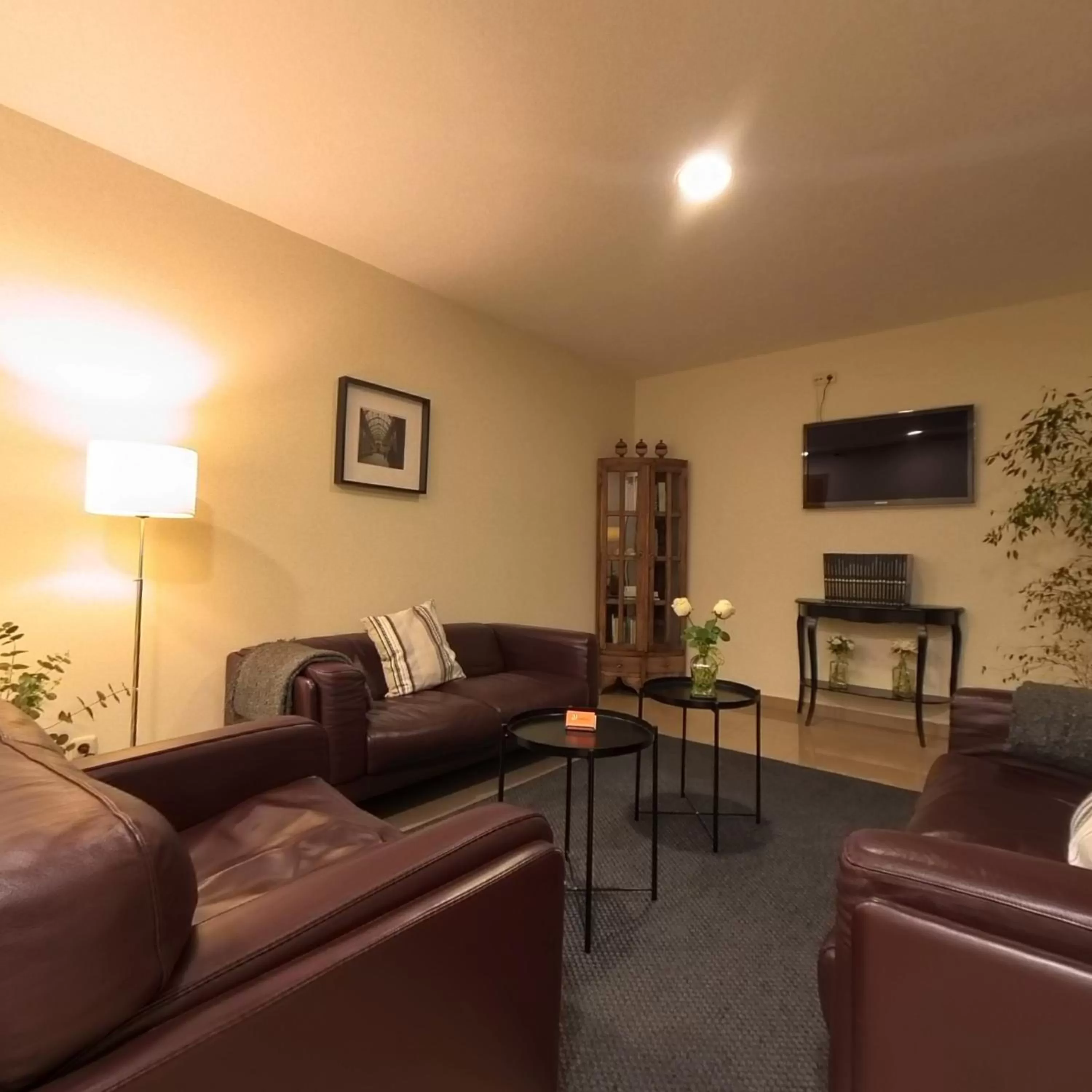 Living room in Hotel Marfany