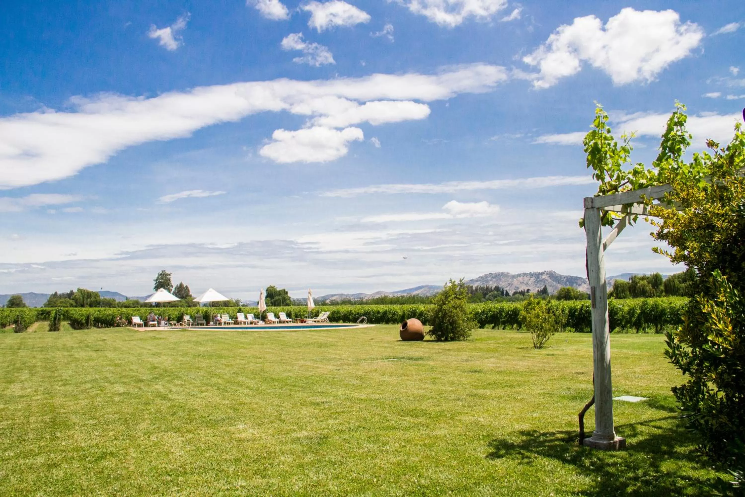 Garden in Hotel Terraviña
