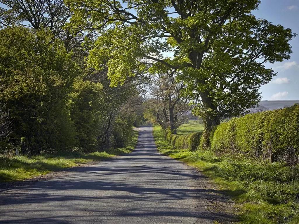 Other, Garden in Lily Hill Farm