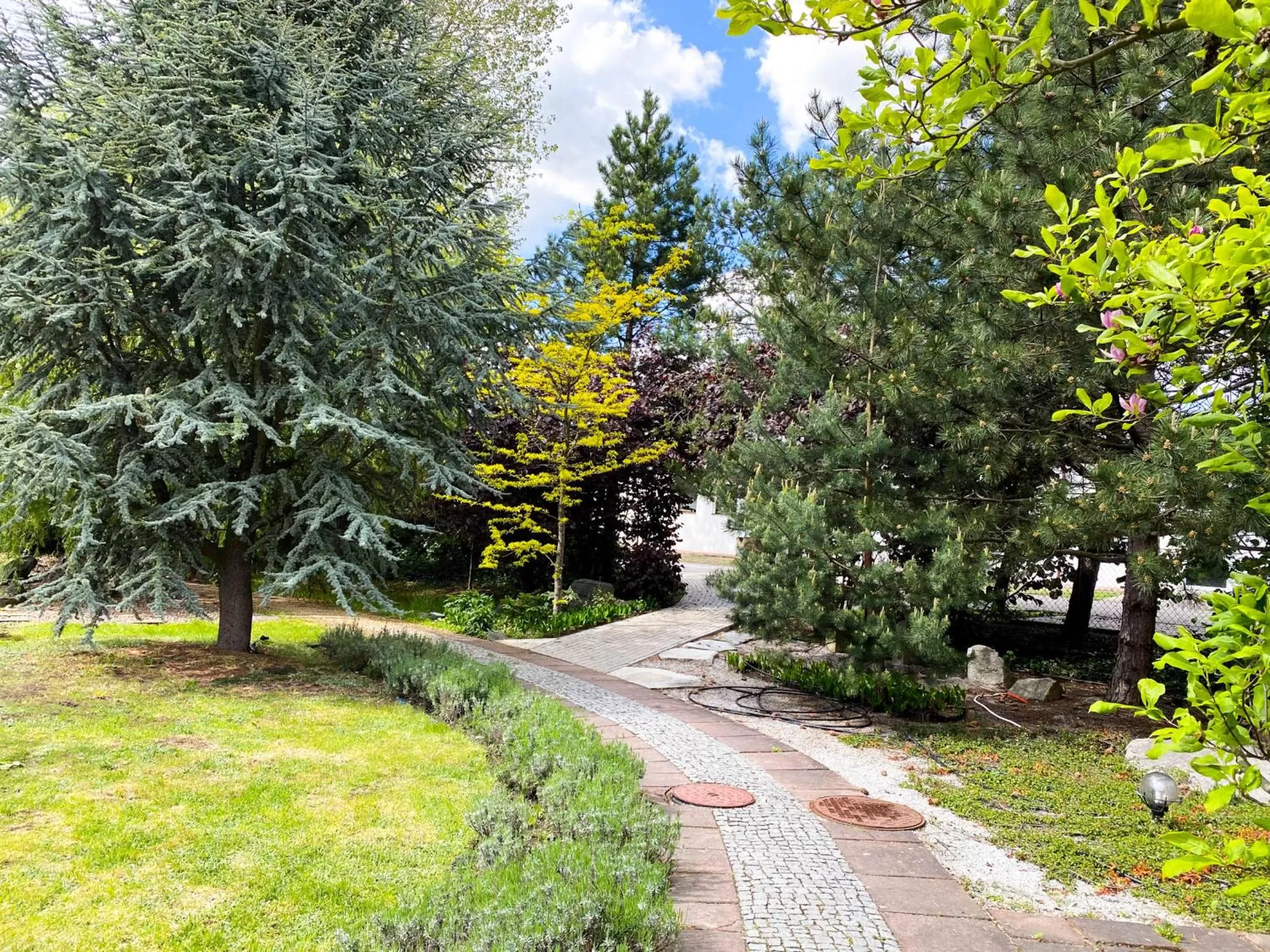 Garden in Hotel Garden