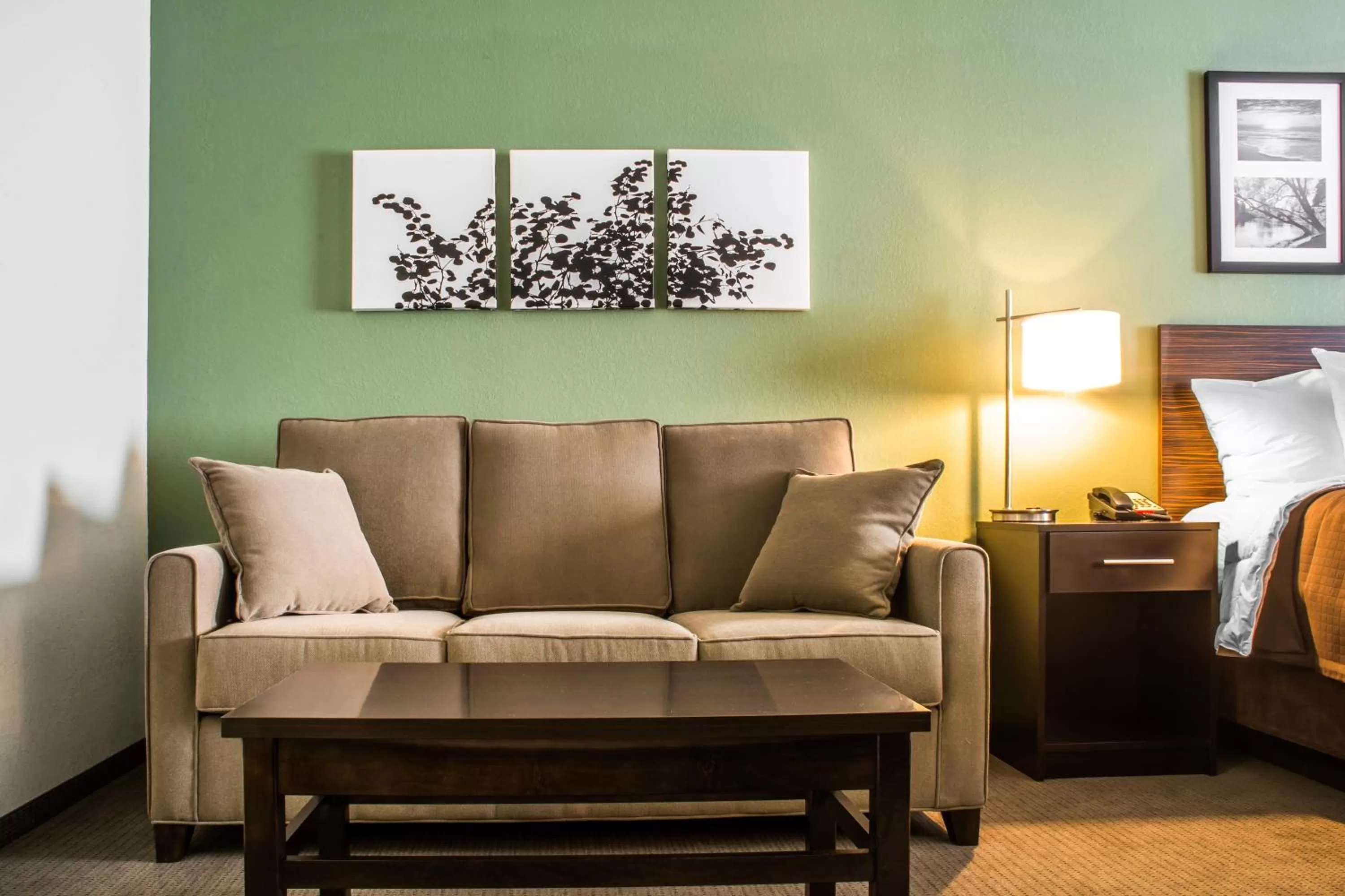 Living room, Bed in Sleep Inn & Suites Syracuse Airport