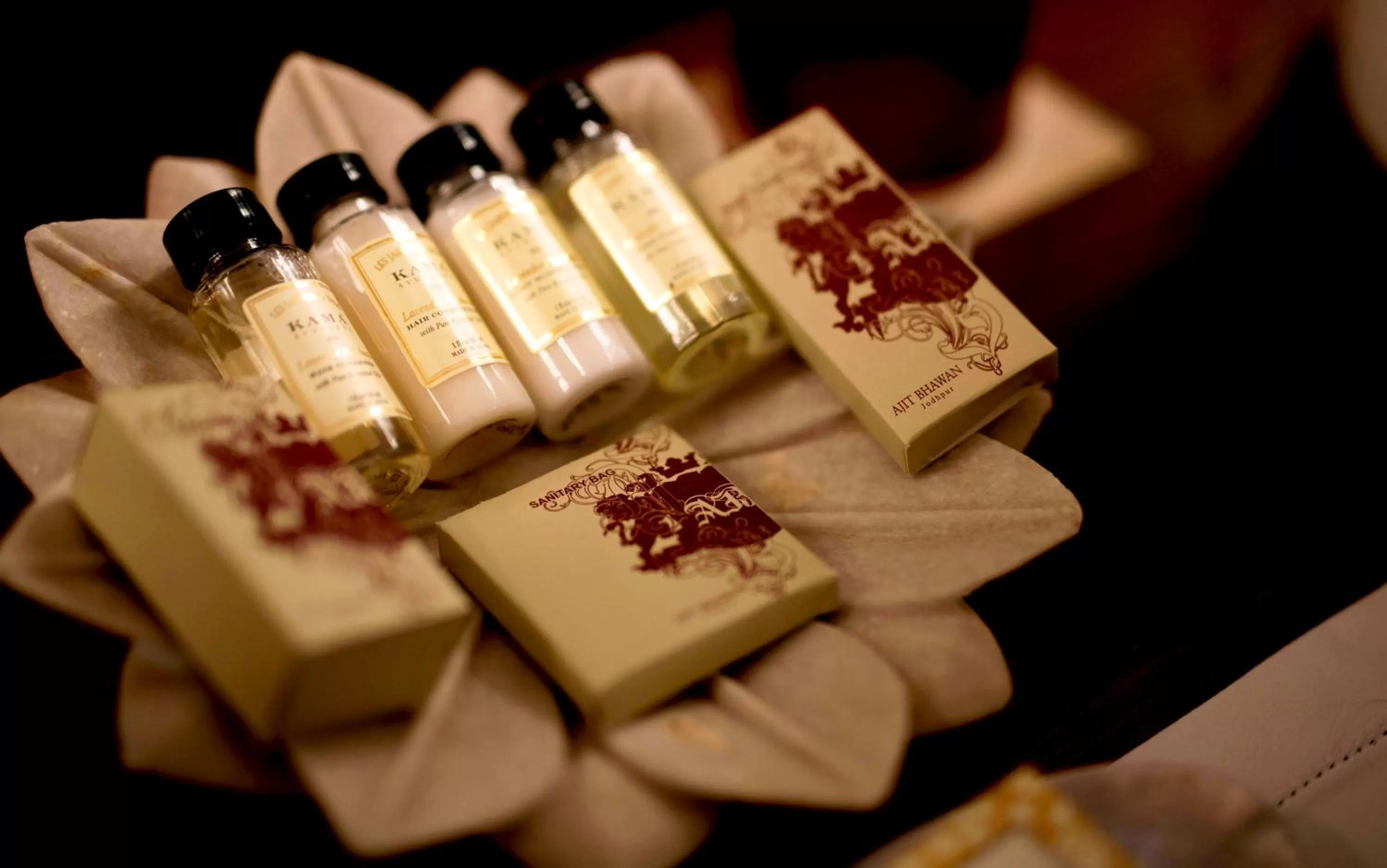 Area and facilities in Ajit Bhawan - A Palace Resort