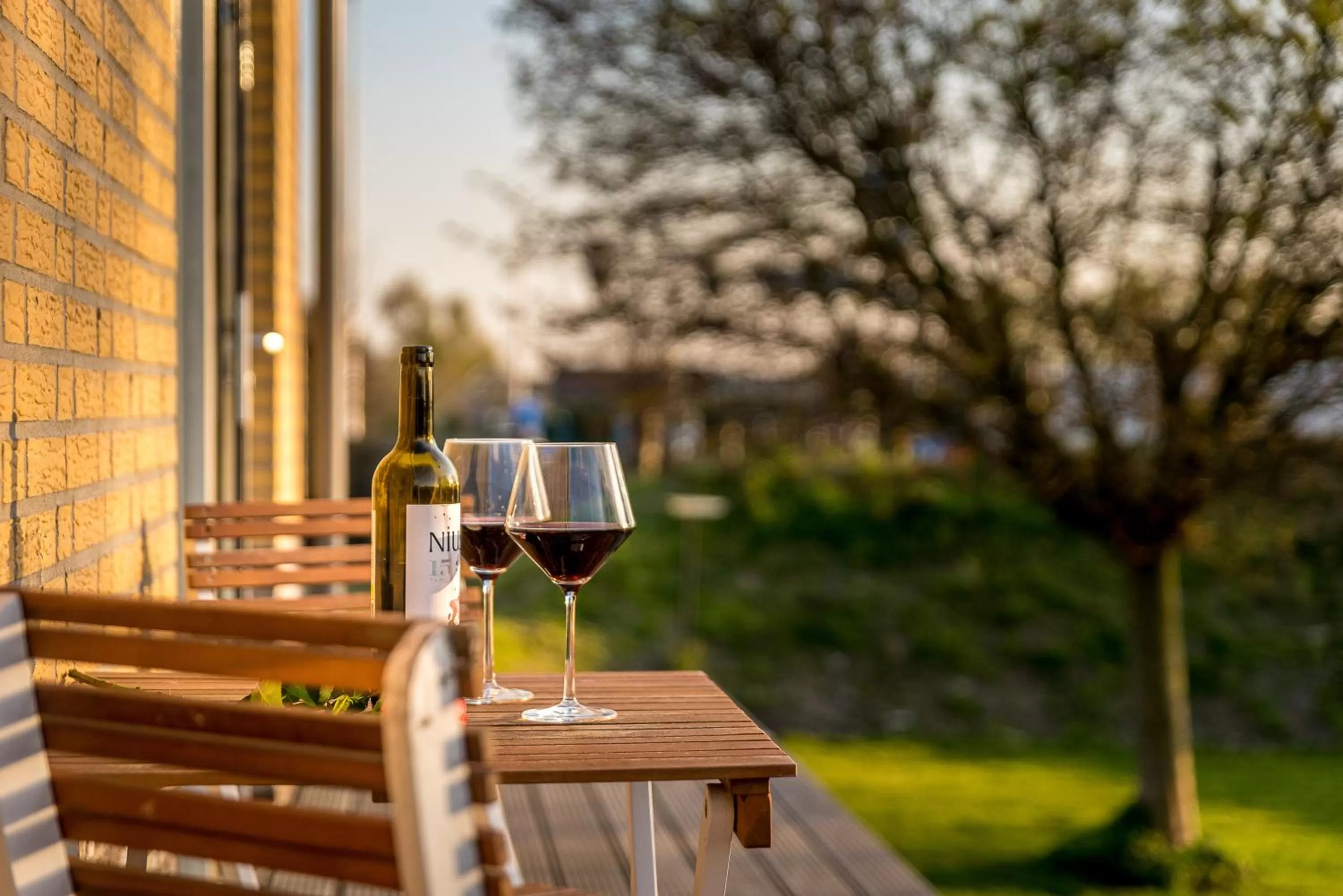 Garden view in B&B Bleiswijk