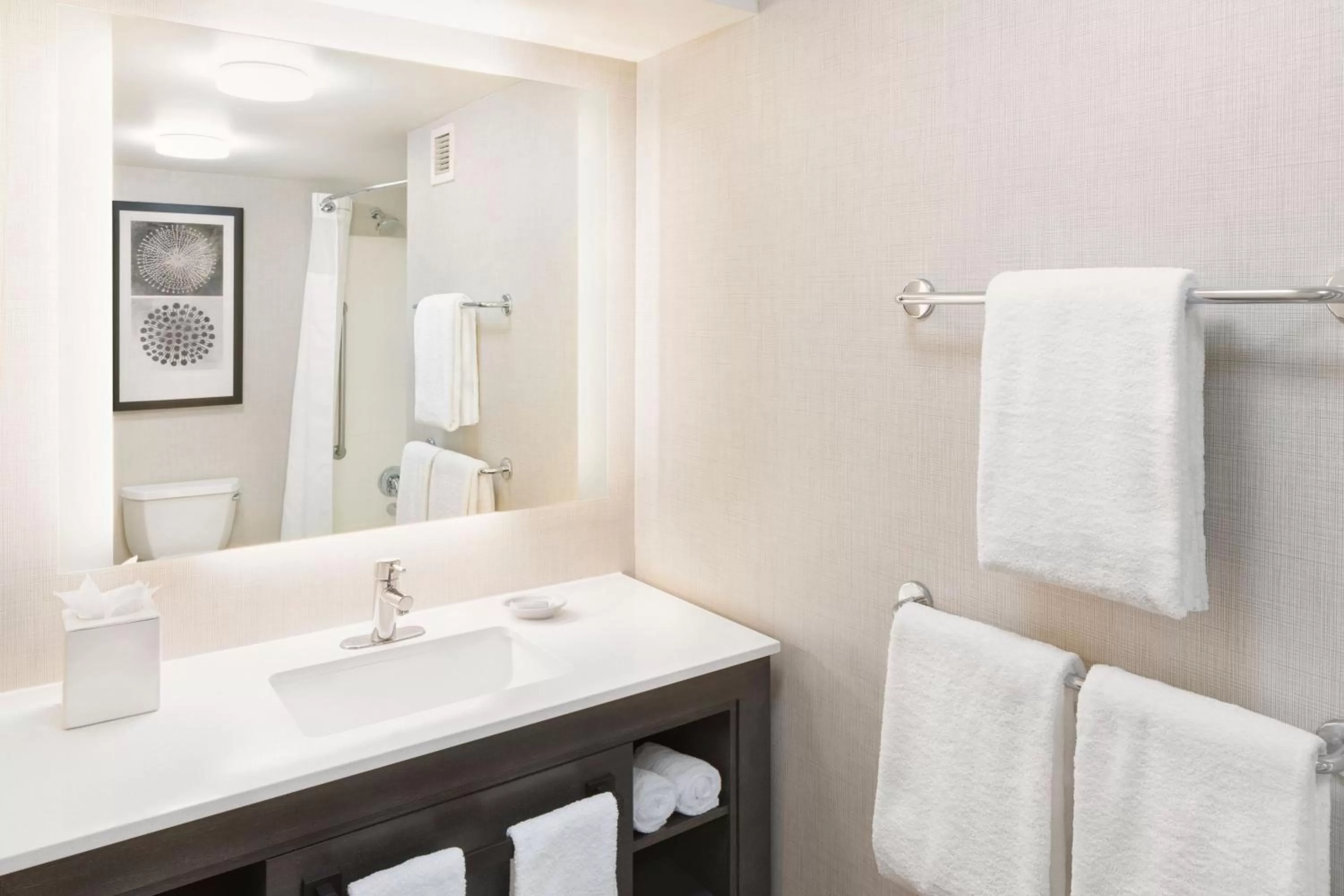 Bathroom in Residence Inn by Marriott Sacramento Downtown at Capitol Park