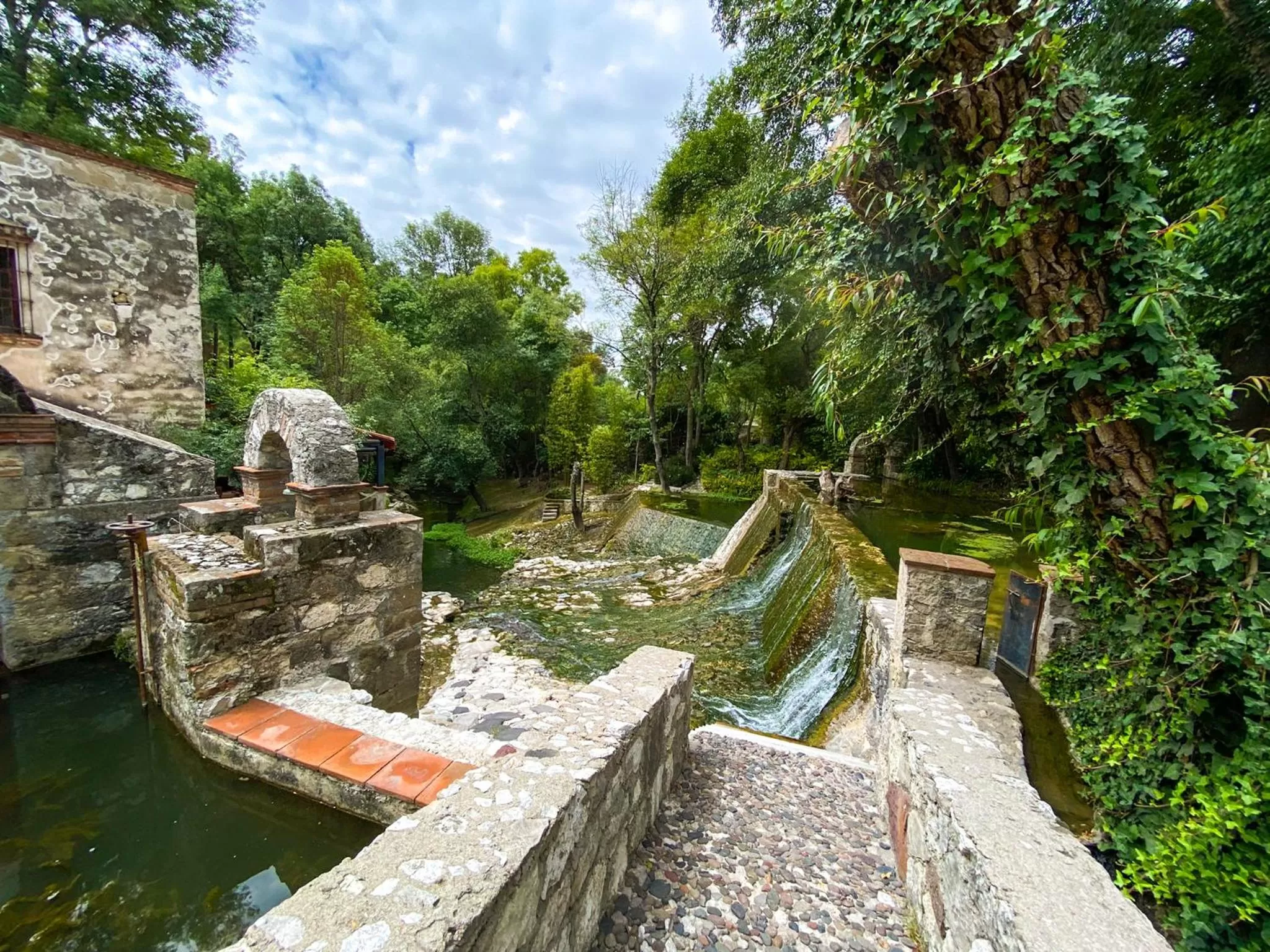 View (from property/room) in Molino de los Reyes