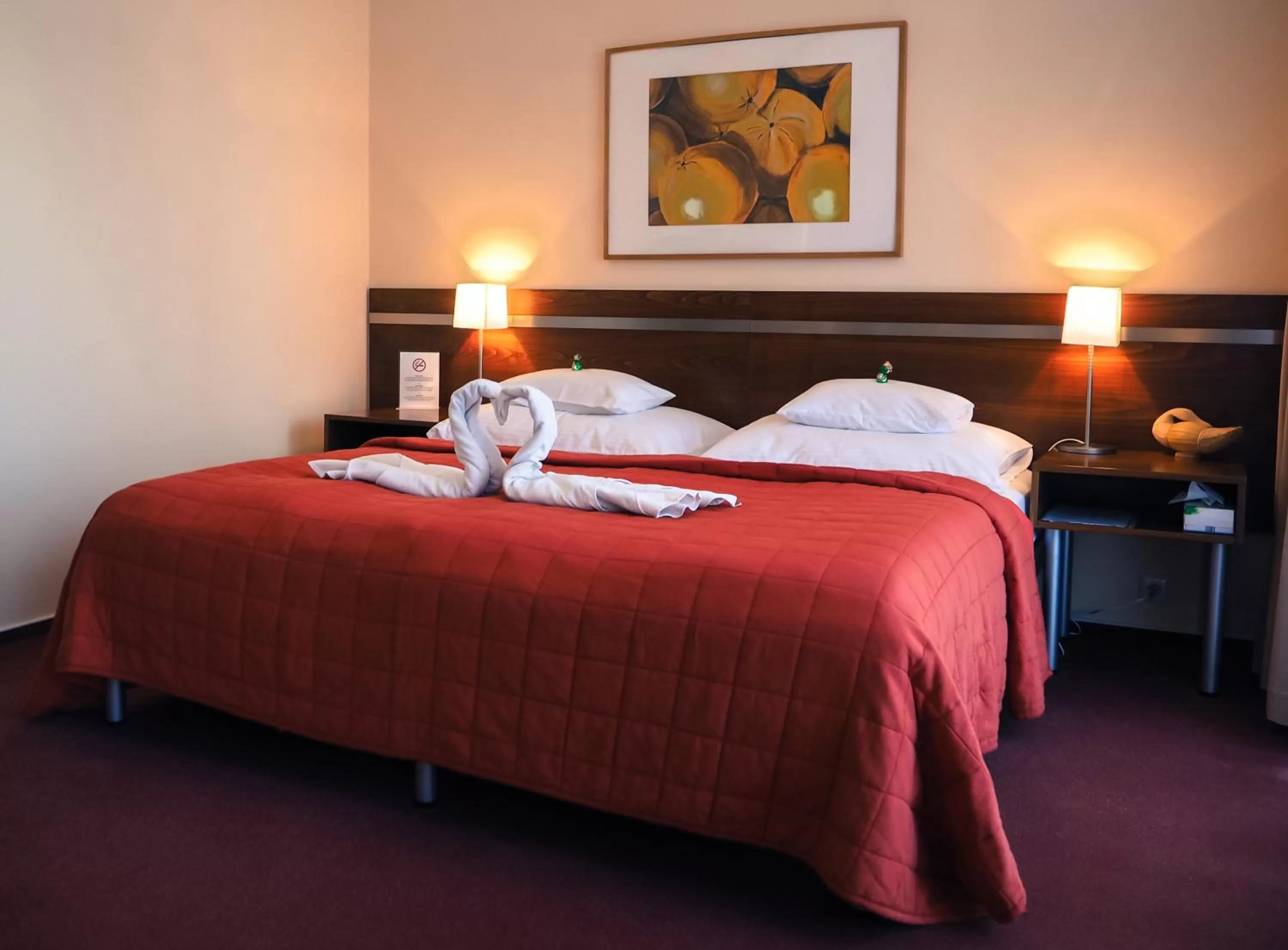 Bed in Hotel Cvilín