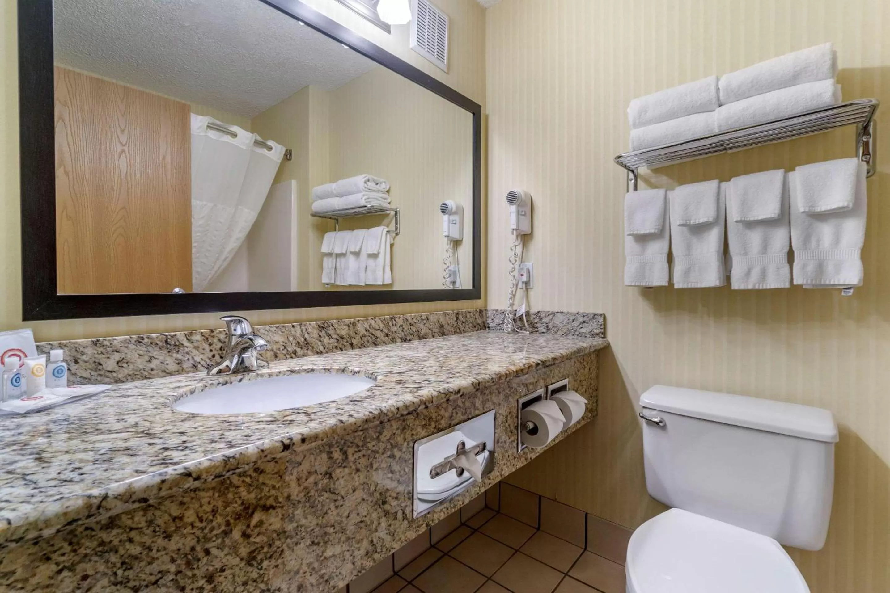 Bathroom in Comfort Inn & Suites Bothell - Seattle North
