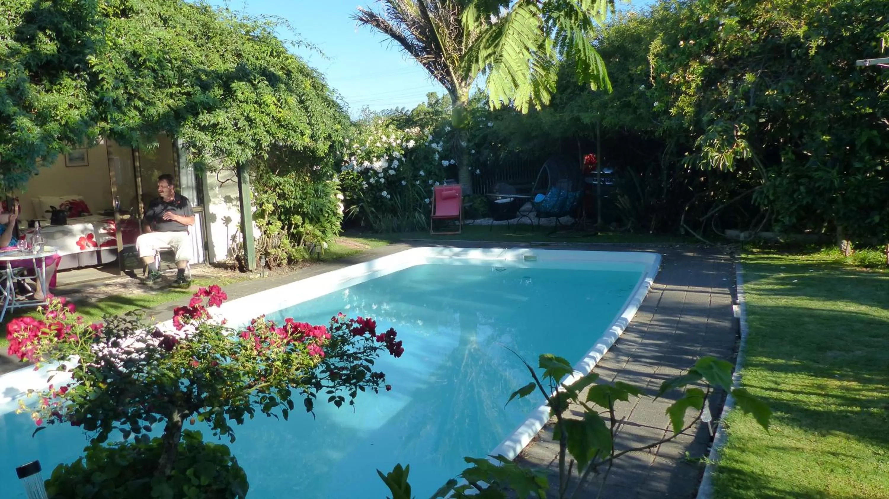 Garden, Swimming Pool in Ashcroft Gardens Bed & Breakfast