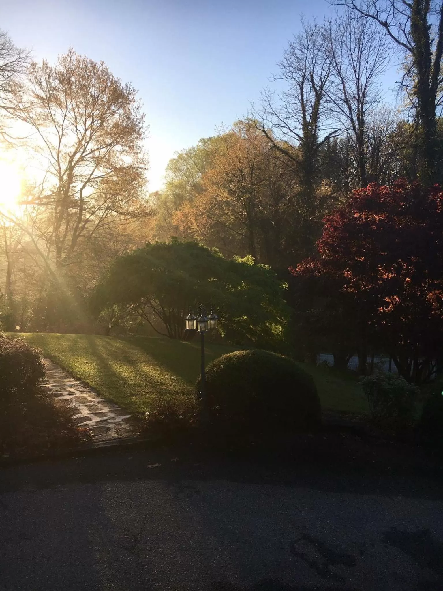 Bird's eye view in Grafton Lodge
