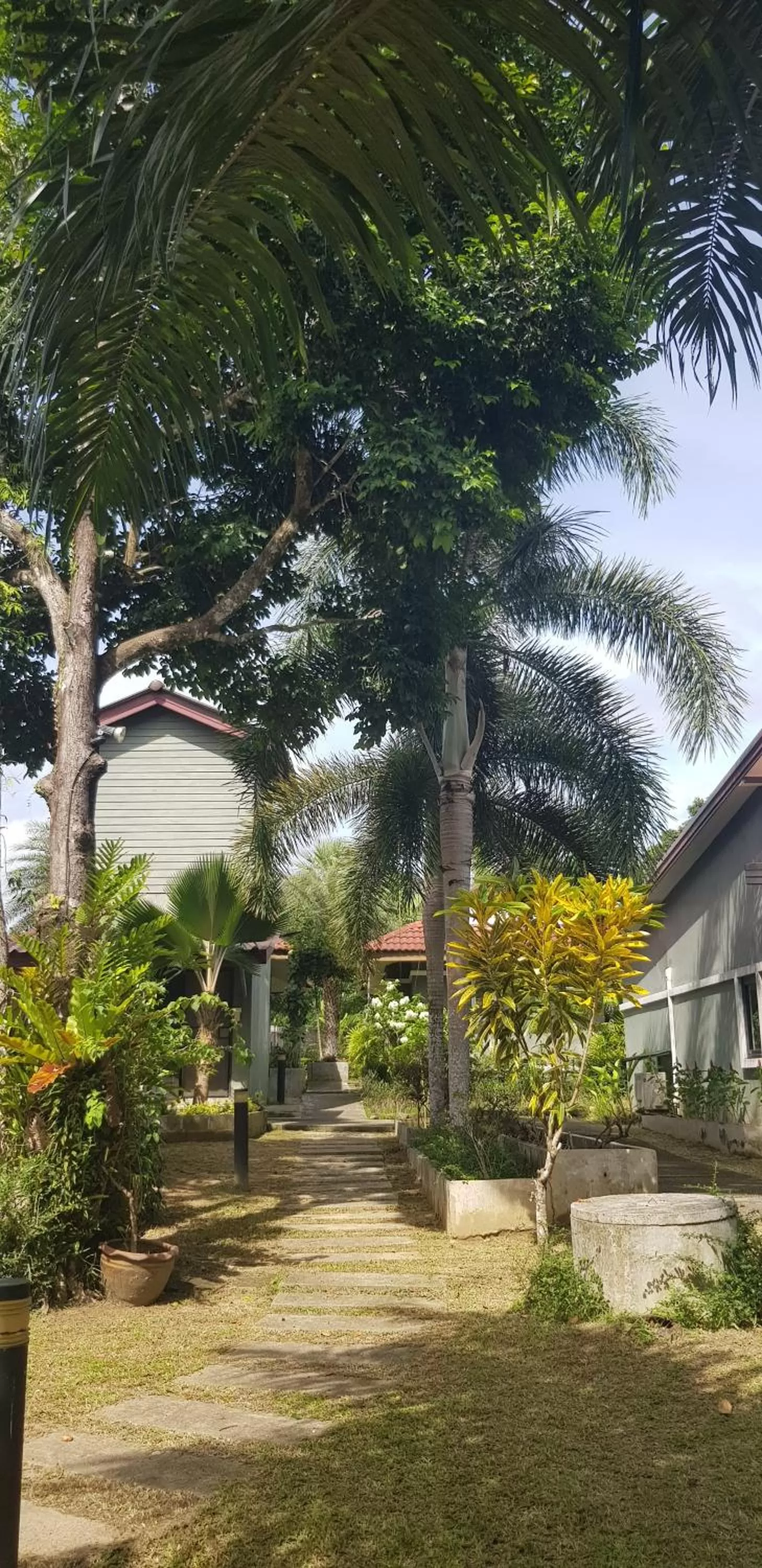Garden view in Khaolak Yama Resort - SHA Plus