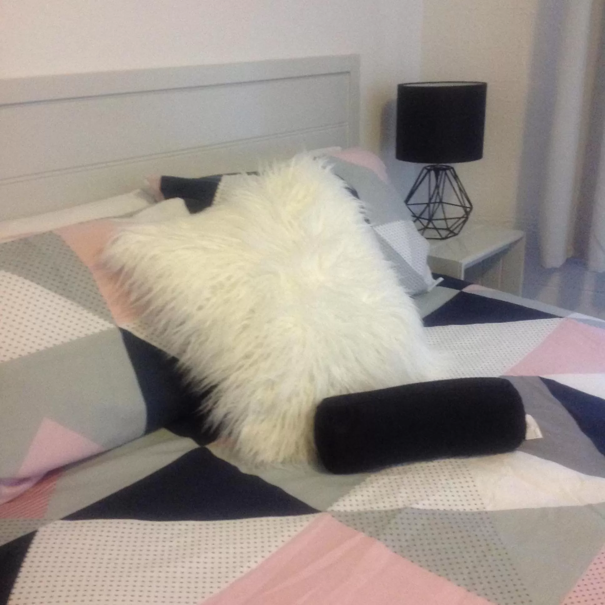 Bed in Motel Farnboro