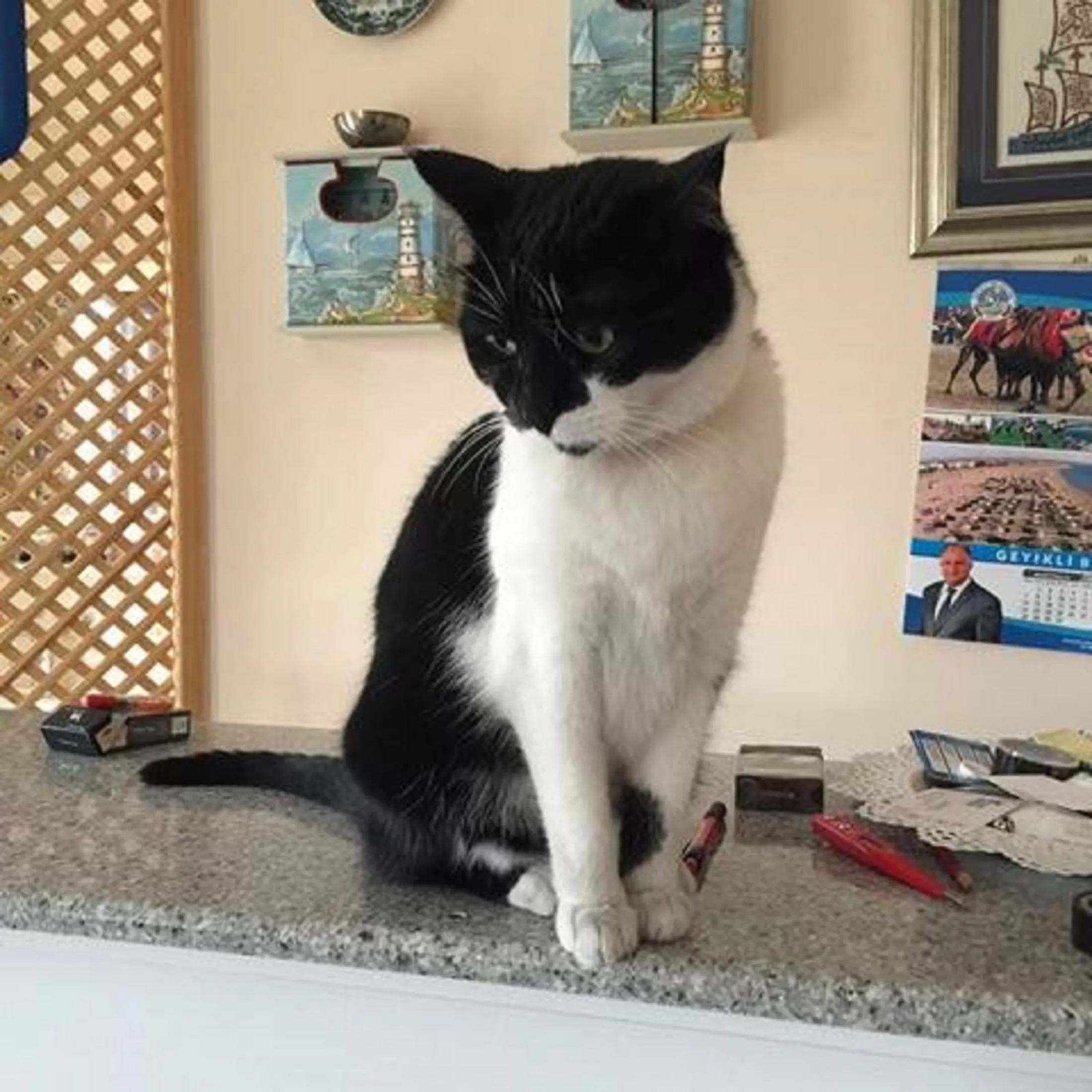 On site in Ede Apart Otel