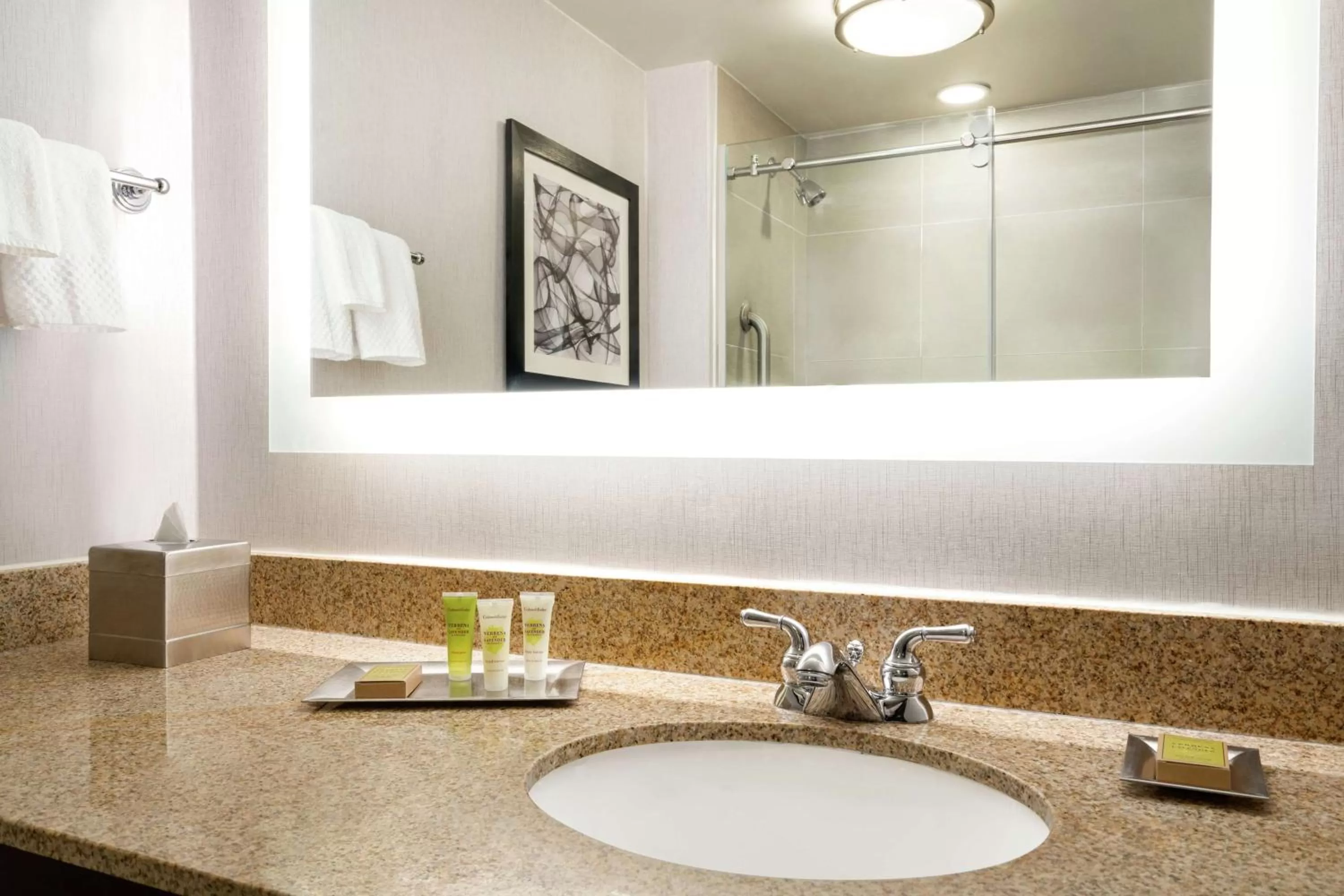 Bathroom in Hilton Melbourne, FL