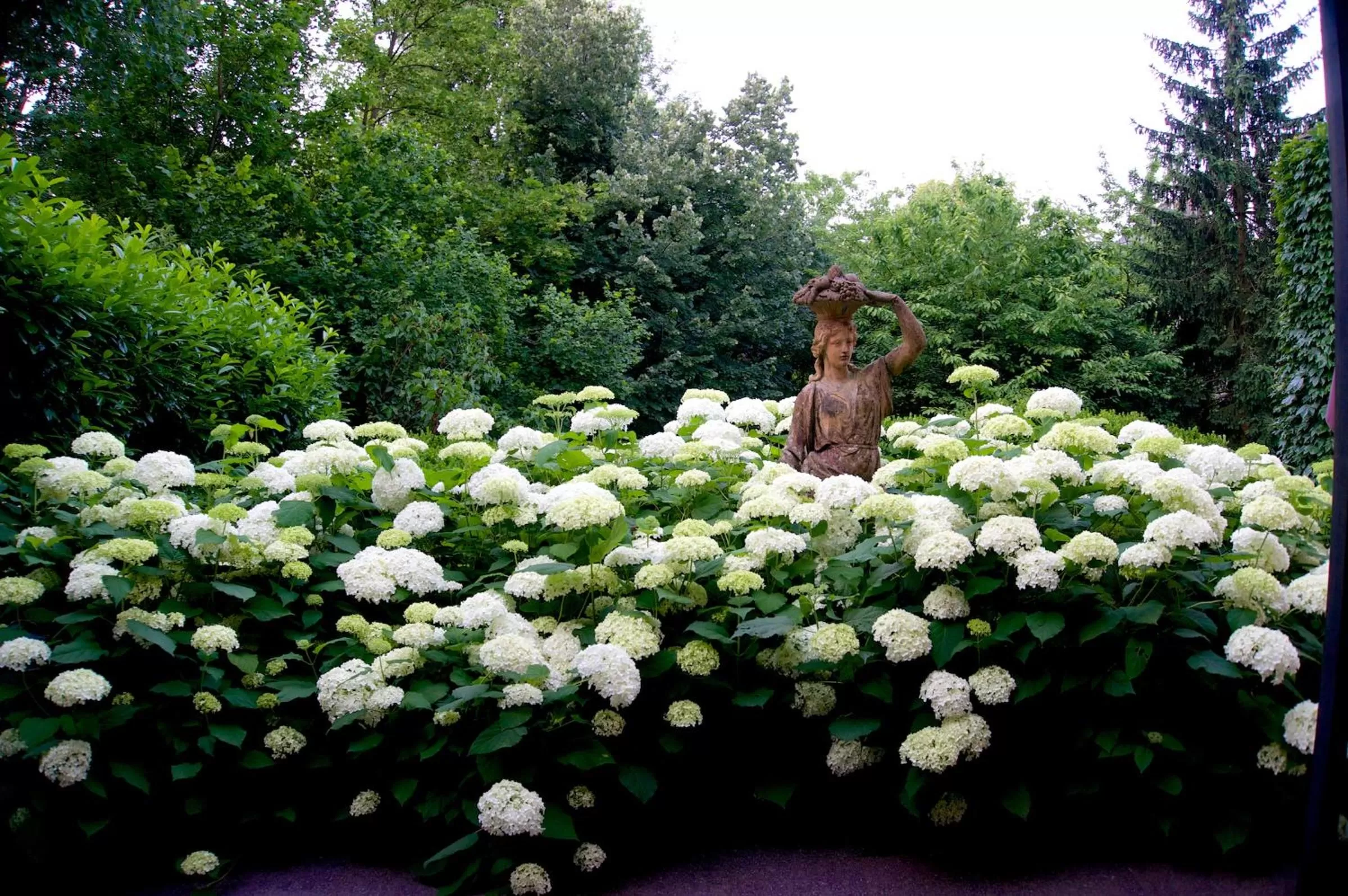 Natural landscape in Embassy Row BnB