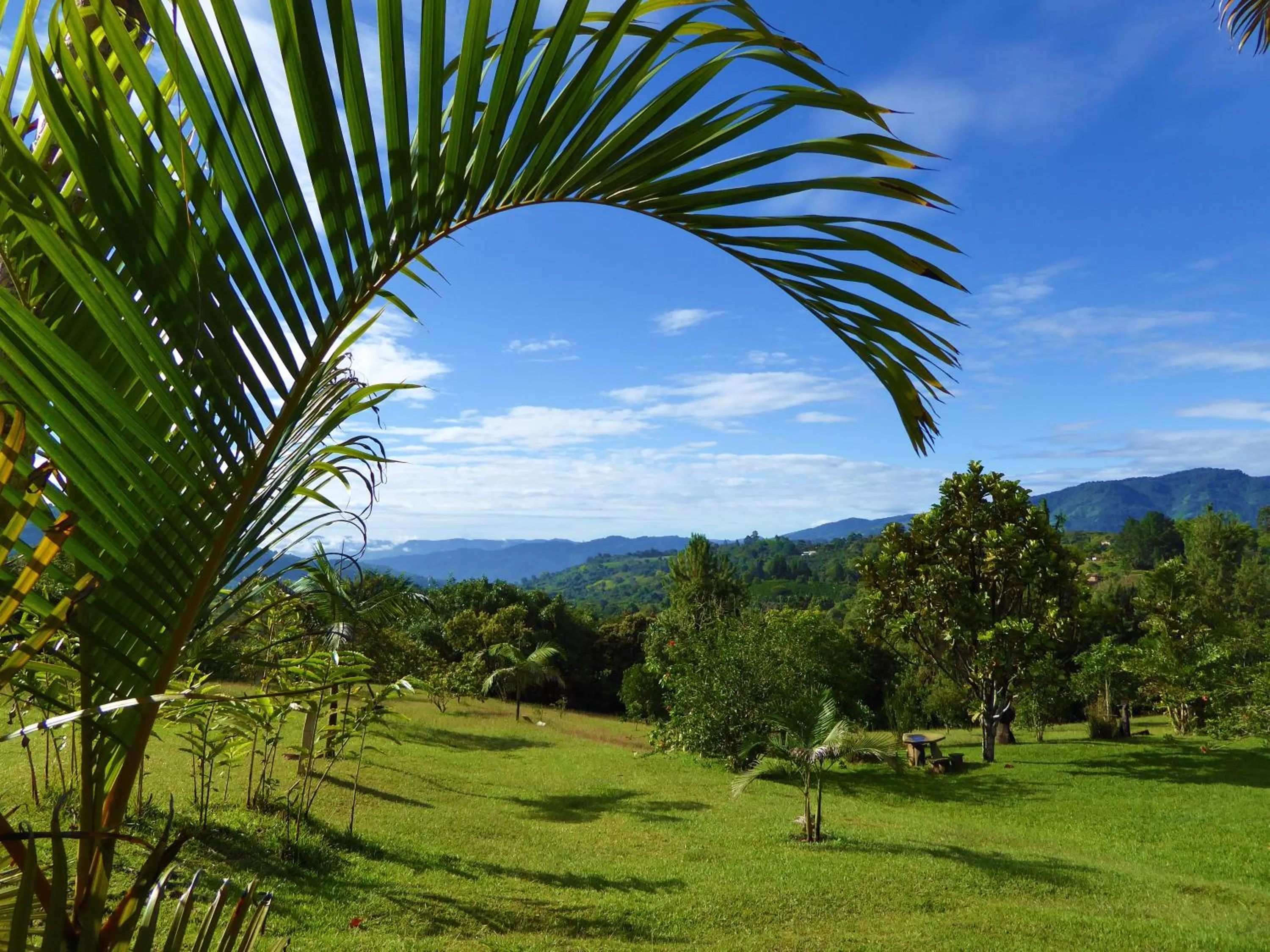 Garden in Finca El Cielo