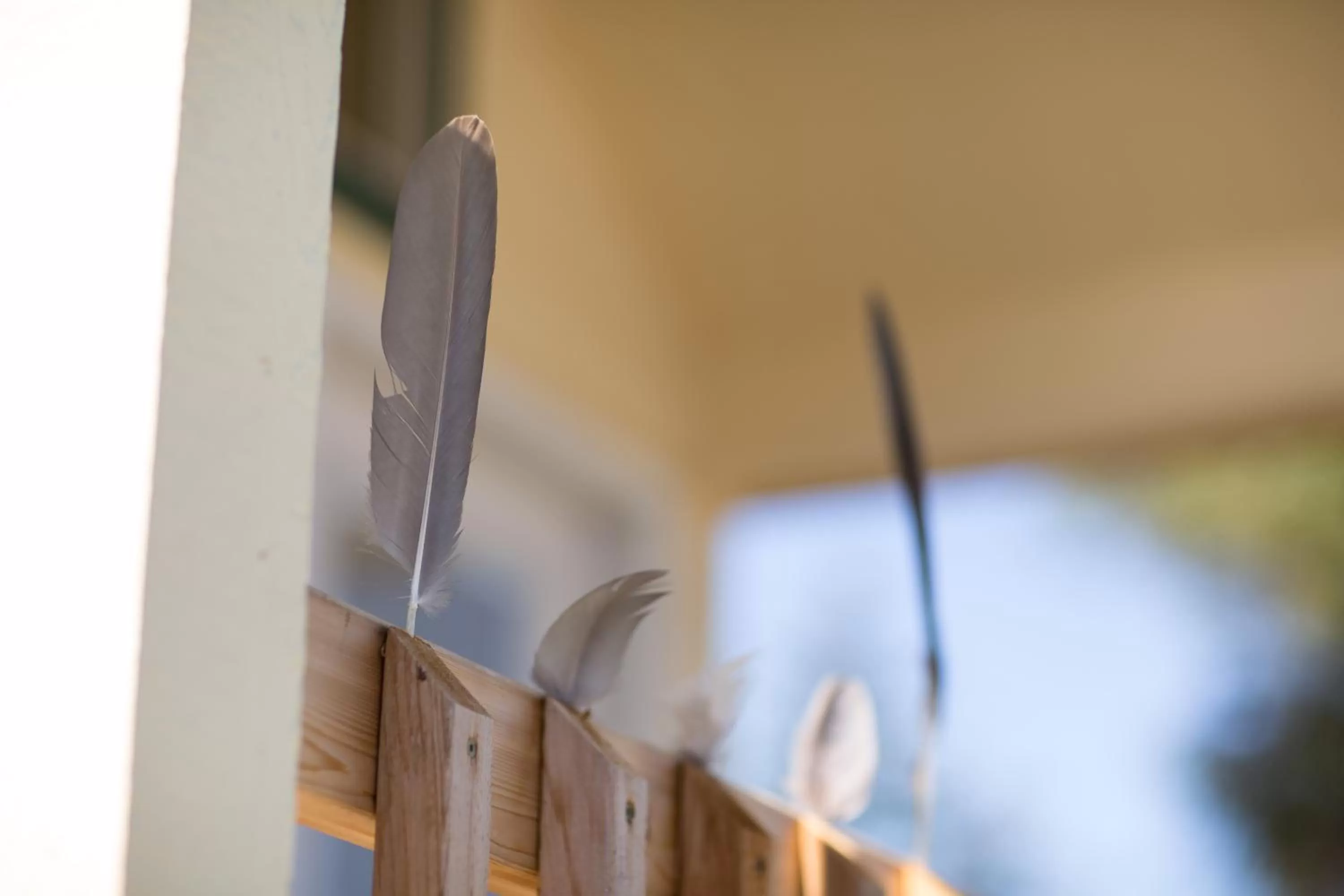 Decorative detail in Sheltered Nook On Tillamook Bay