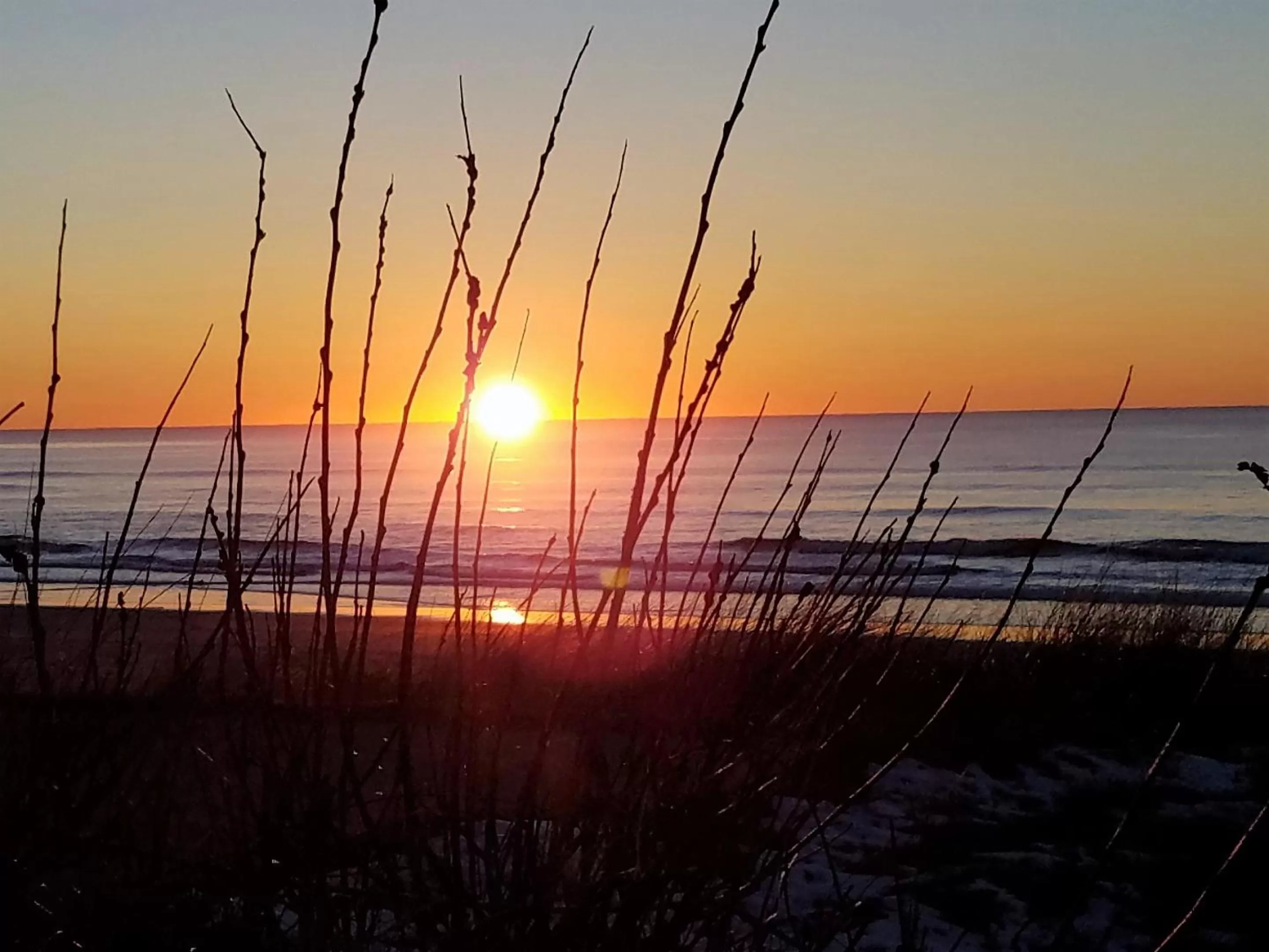 Beach in The Waldport Inn